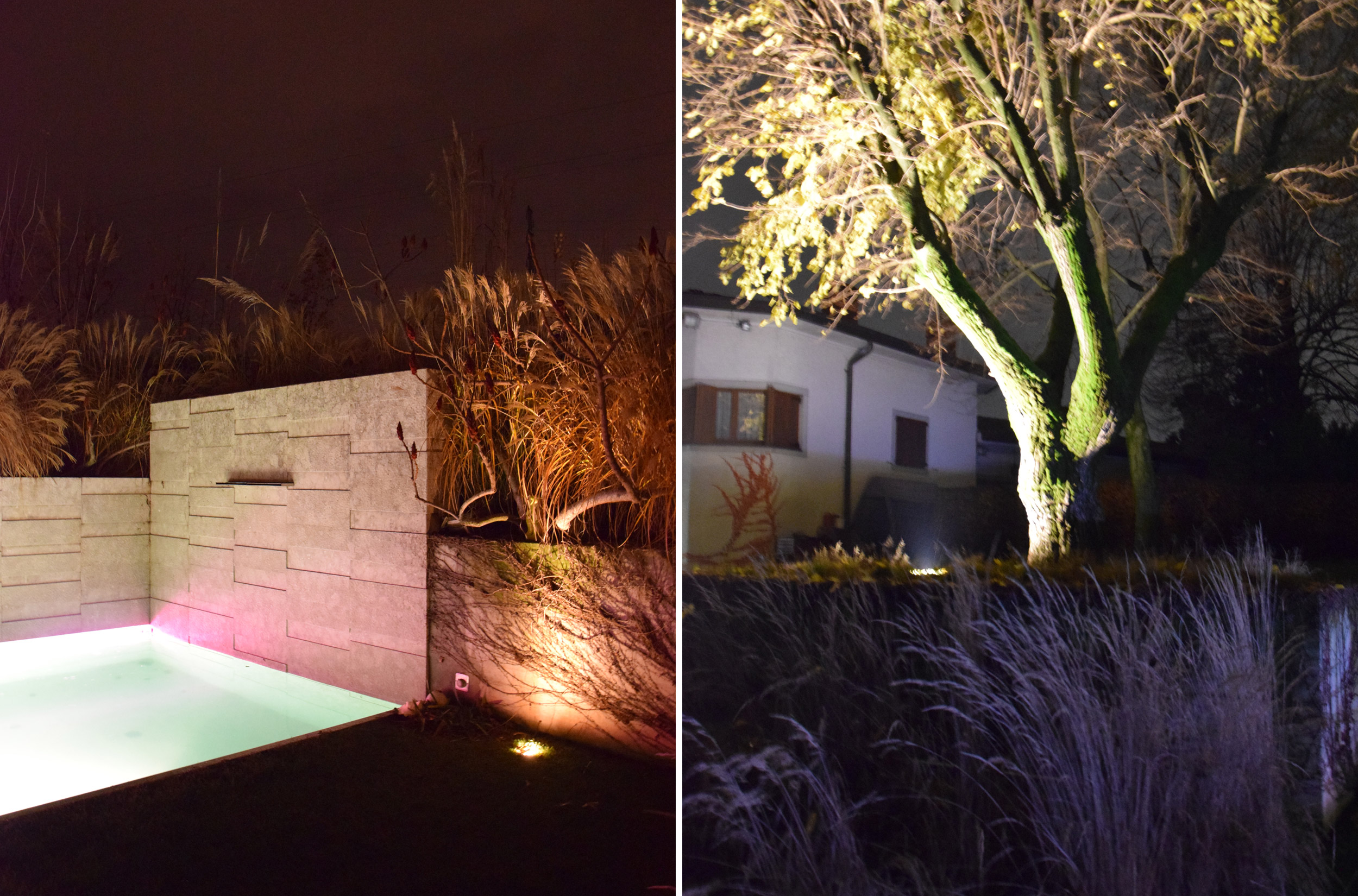 Rhus typhina dissecta, giardino contemporaneo, graminacee, swimmingpool, lights, by night