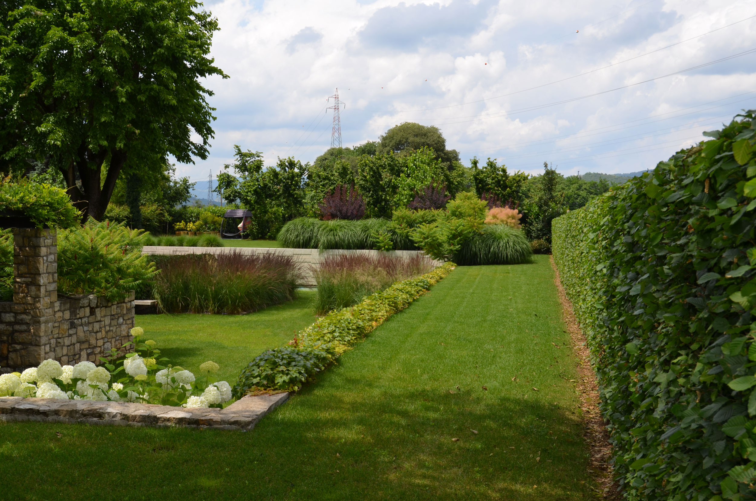 Calamagrostis x acutiflora, siepe di Carpinus betulus, Hydrangea arborescens Annabelle, Miscanthus sinensis 