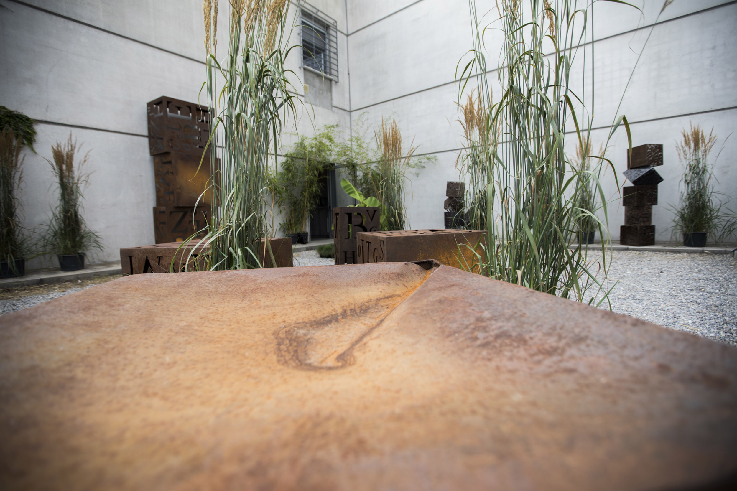 Calamagrostis x acutiflora, sculture Metallifilati, acciaio Corten