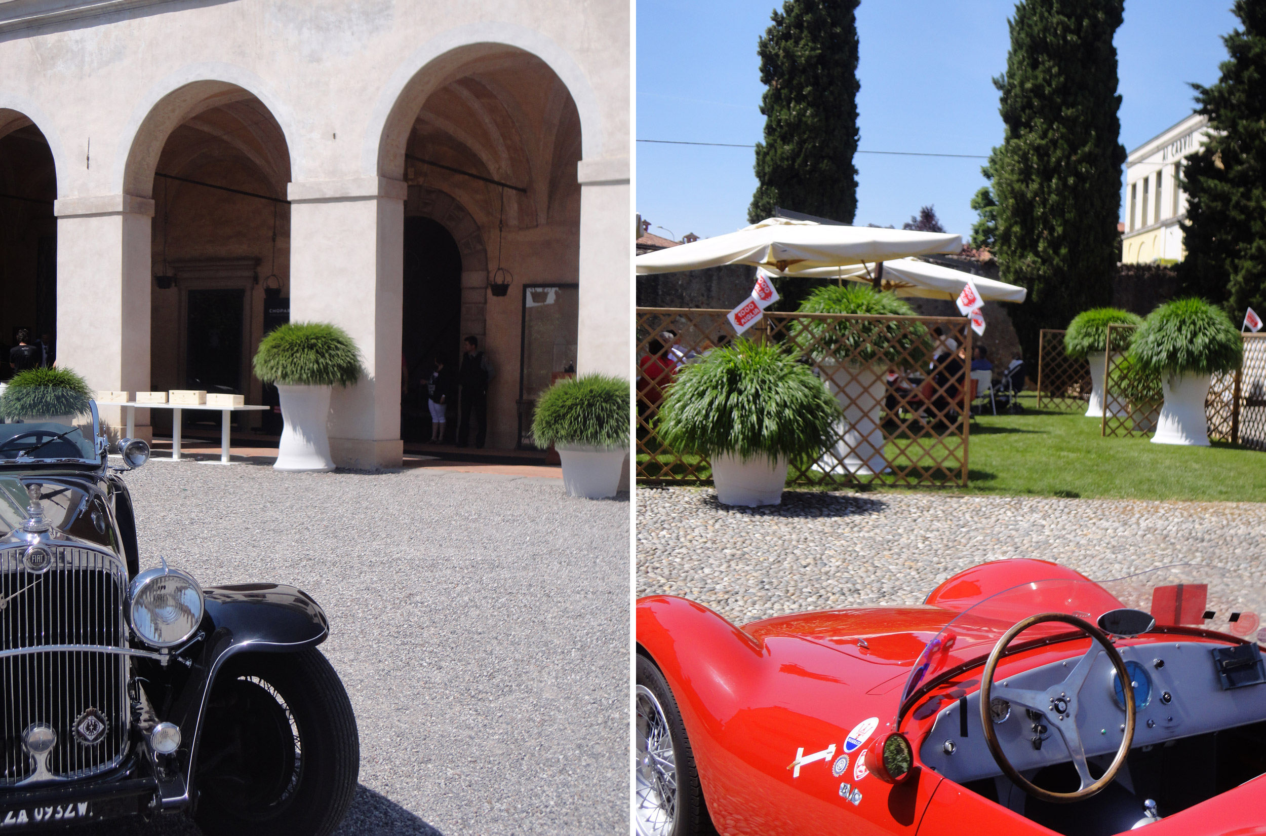 hakonechloa macra, Ferrari, 1000 miglia, Franciacorta
