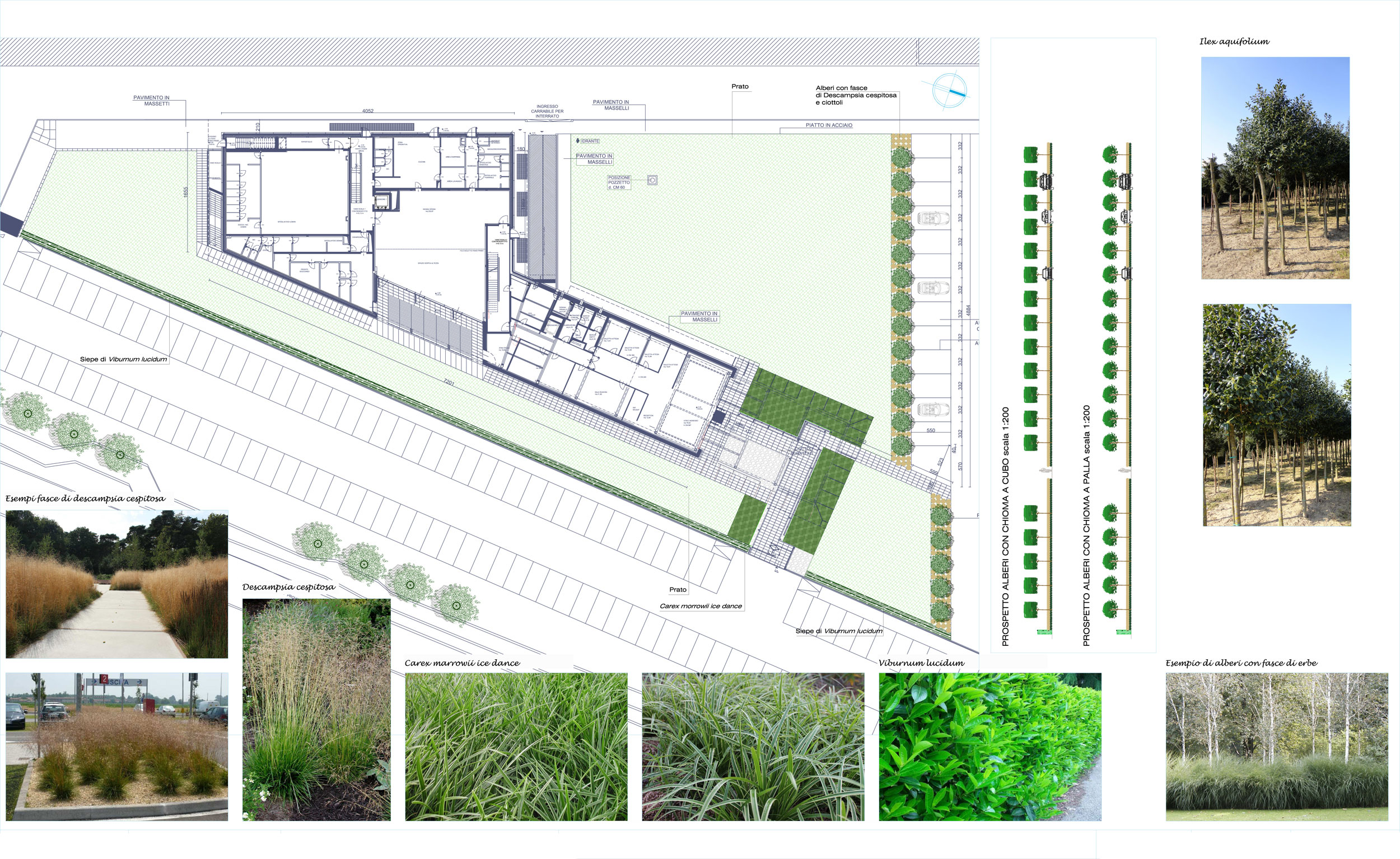 planimetria di progetto