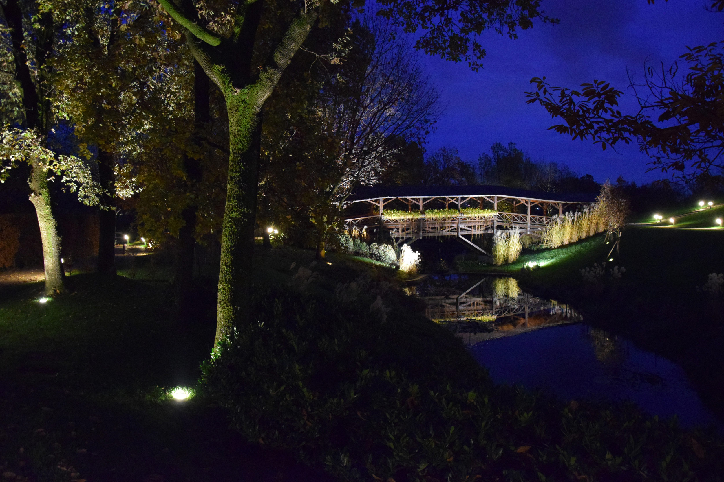 giardino di notte