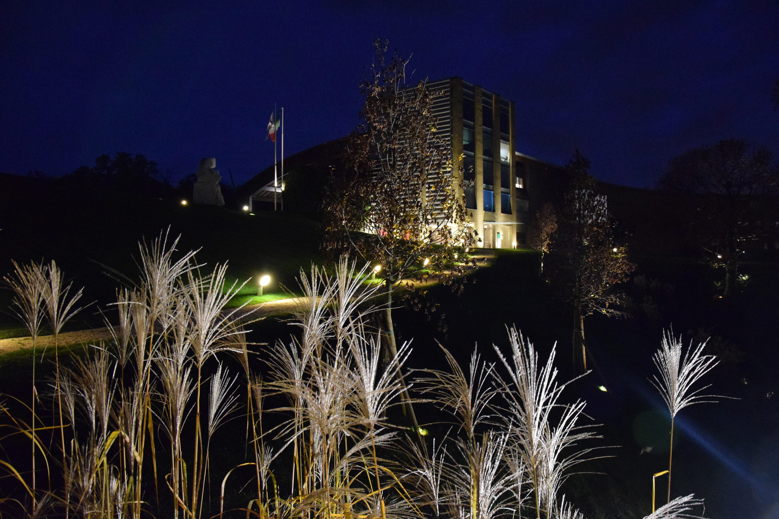 miscantus sinensis, giardino notturno