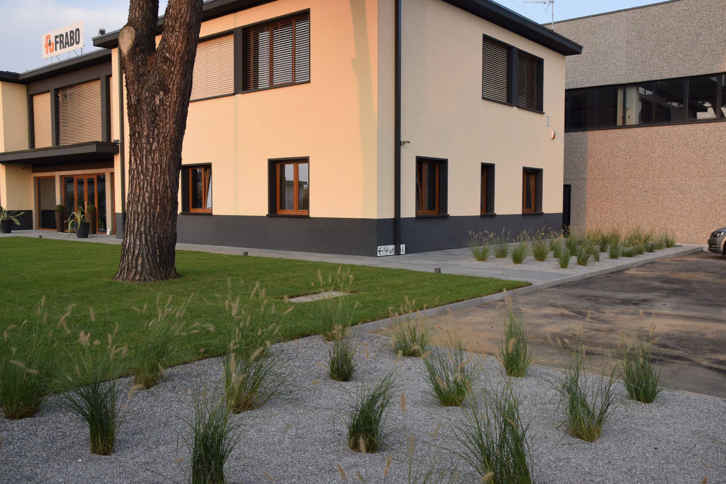 pennisetum alopecuroides Hameln,