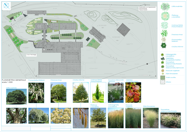 planimetria di progetto del verde