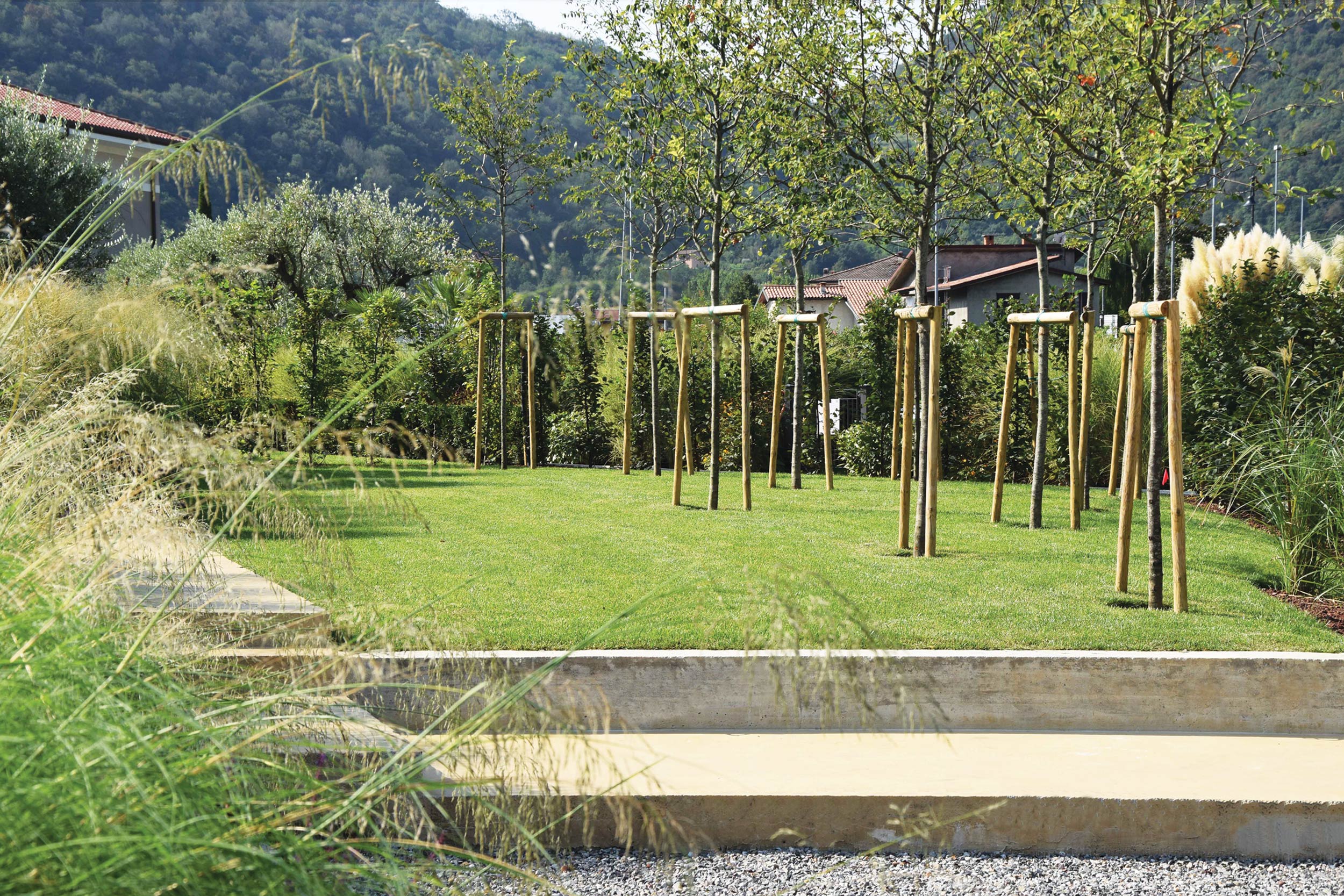 terrazzamento del giardino, lamiere in acciaio corten, piante erbcee perenni, graminacee, Miscanthus sinensis, boschetto di Crataegus monogyna, 