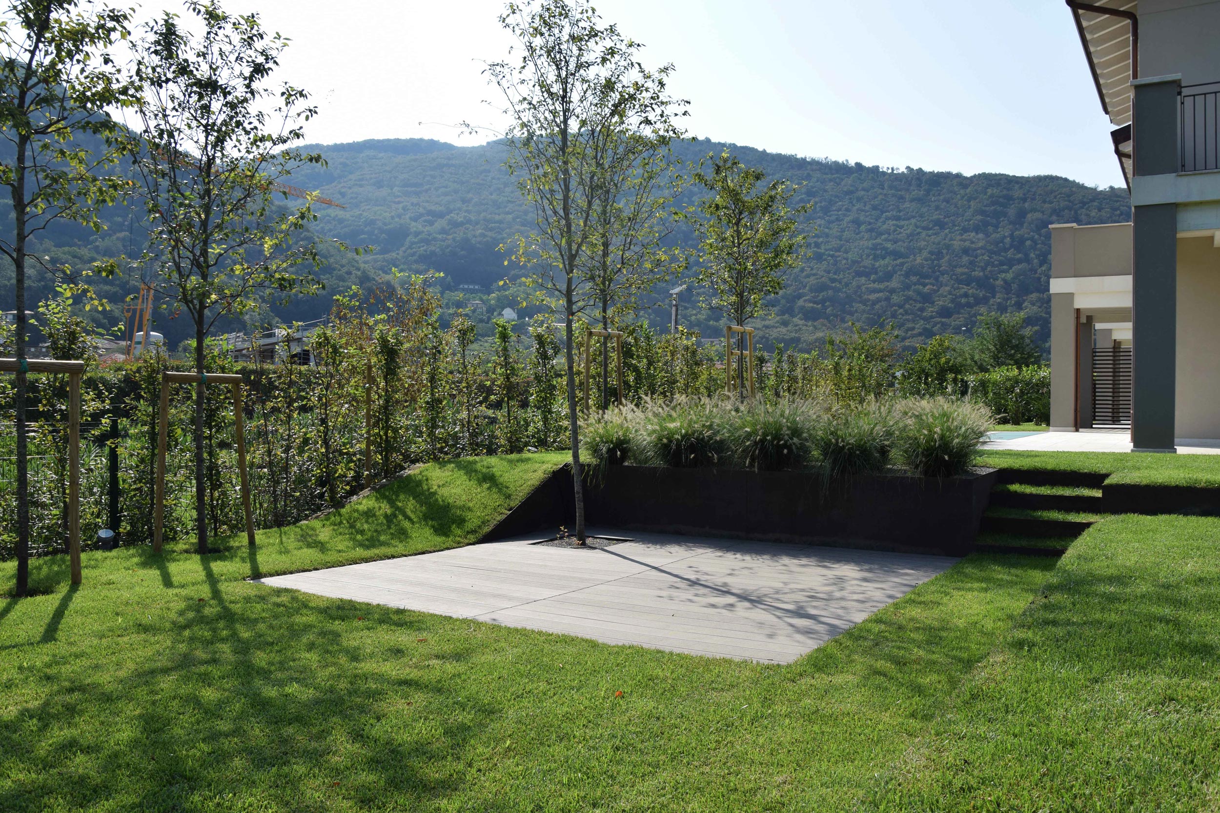 Miscanthus sinensis Grosse Fontaine, Miscanthus sinensis Gracillimus, siepe di Carpinis betulus, terrazzamento del giardino, lamiere in acciaio corten, piante erbacee perenni, graminacee, siepe di Carpinis betulus,