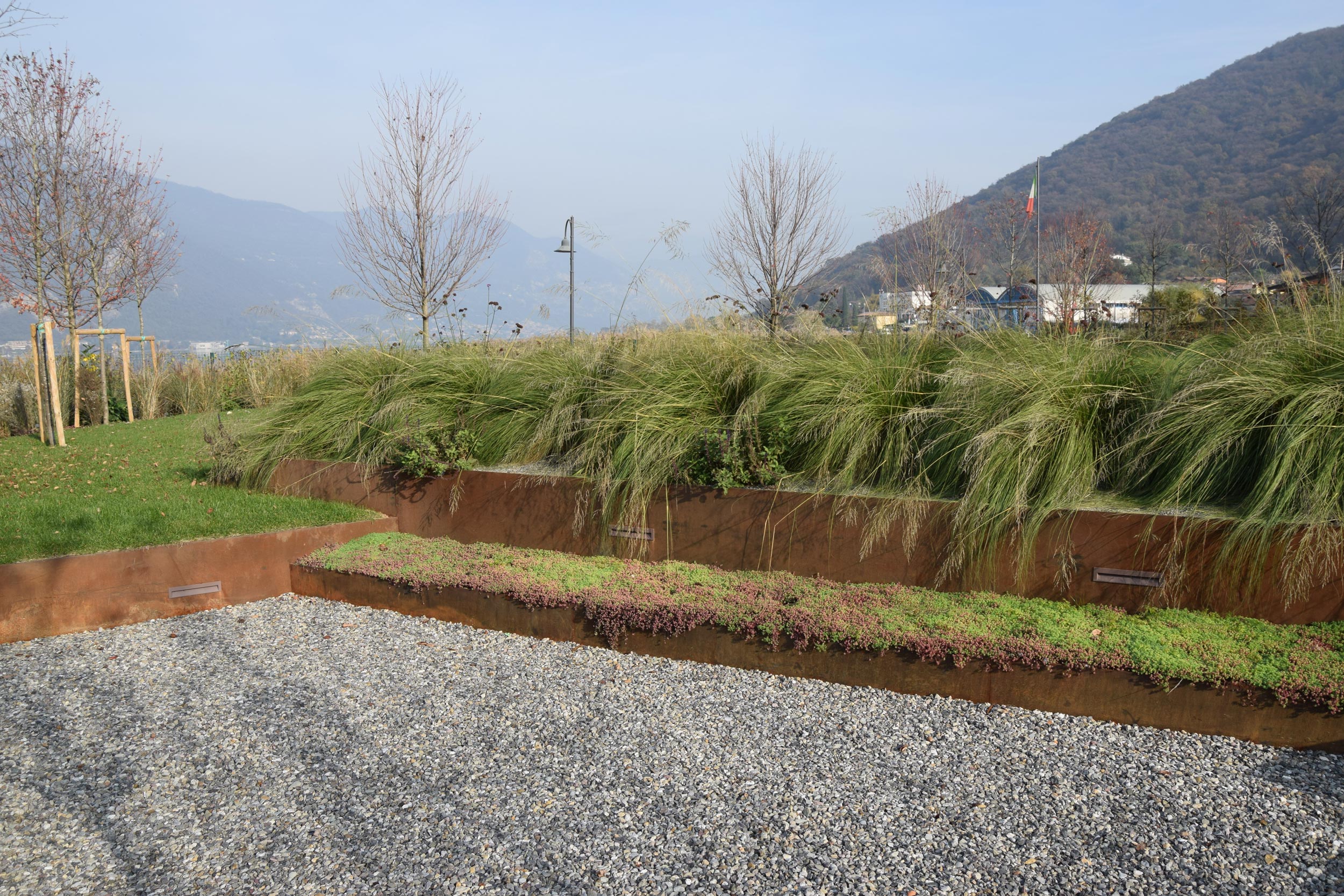 terrazzamento del giardino, lamiere in acciaio corten, piante erbacee perenni, graminacee, Miscanthus sinensis, 