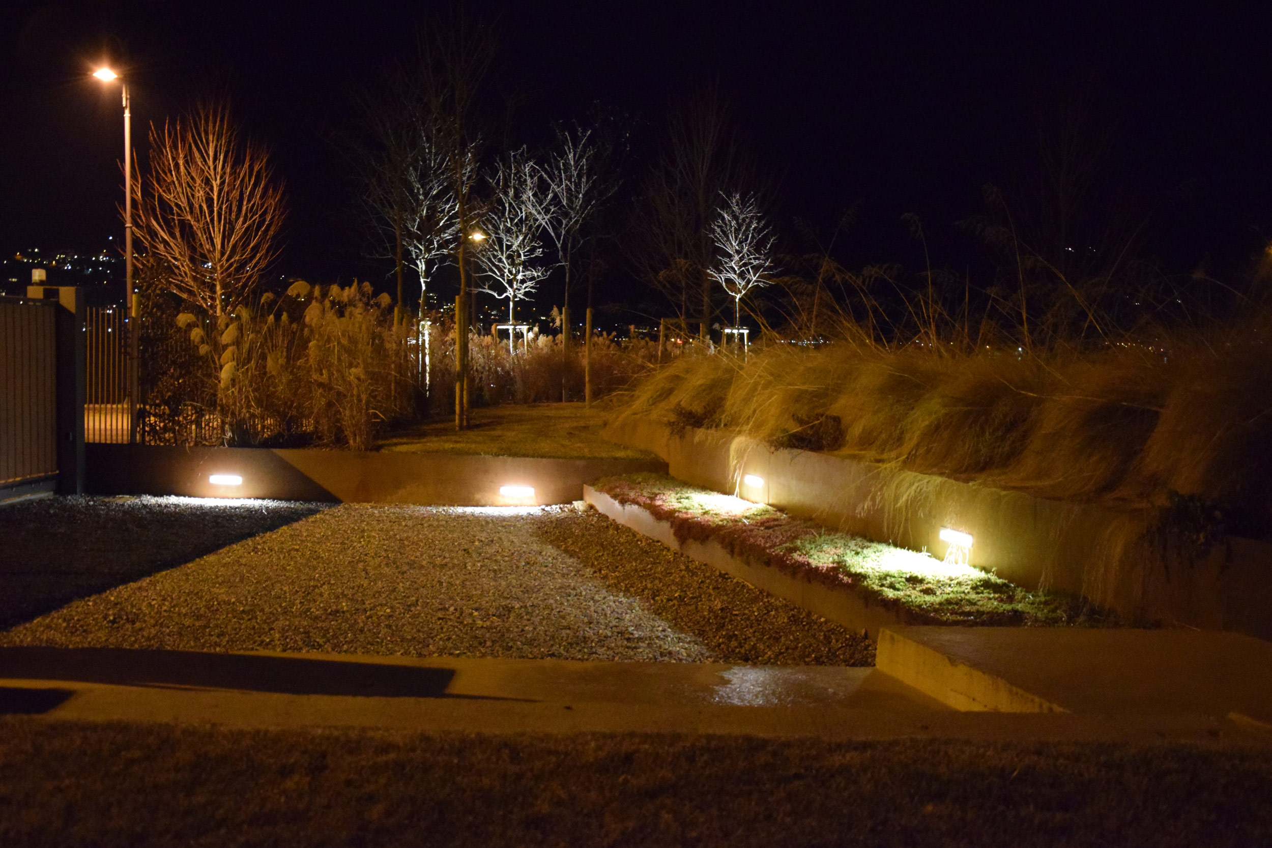 terrazzamento del giardino, lamiere in acciaio corten, piante erbacee perenni, graminacee, by night, lights, 