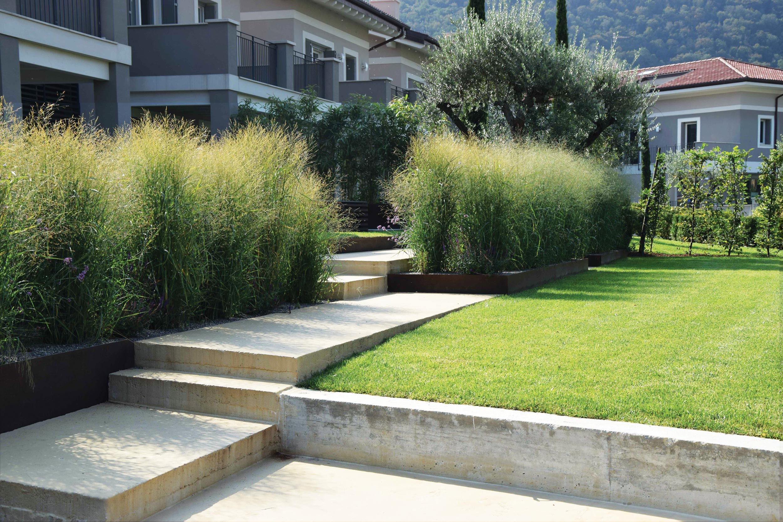 Miscanthus sinensis Grosse Fontaine, Miscanthus sinensis Gracillimus, siepe di Carpinis betulus, terrazzamento del giardino, lamiere in acciaio corten, piante erbacee perenni, graminacee