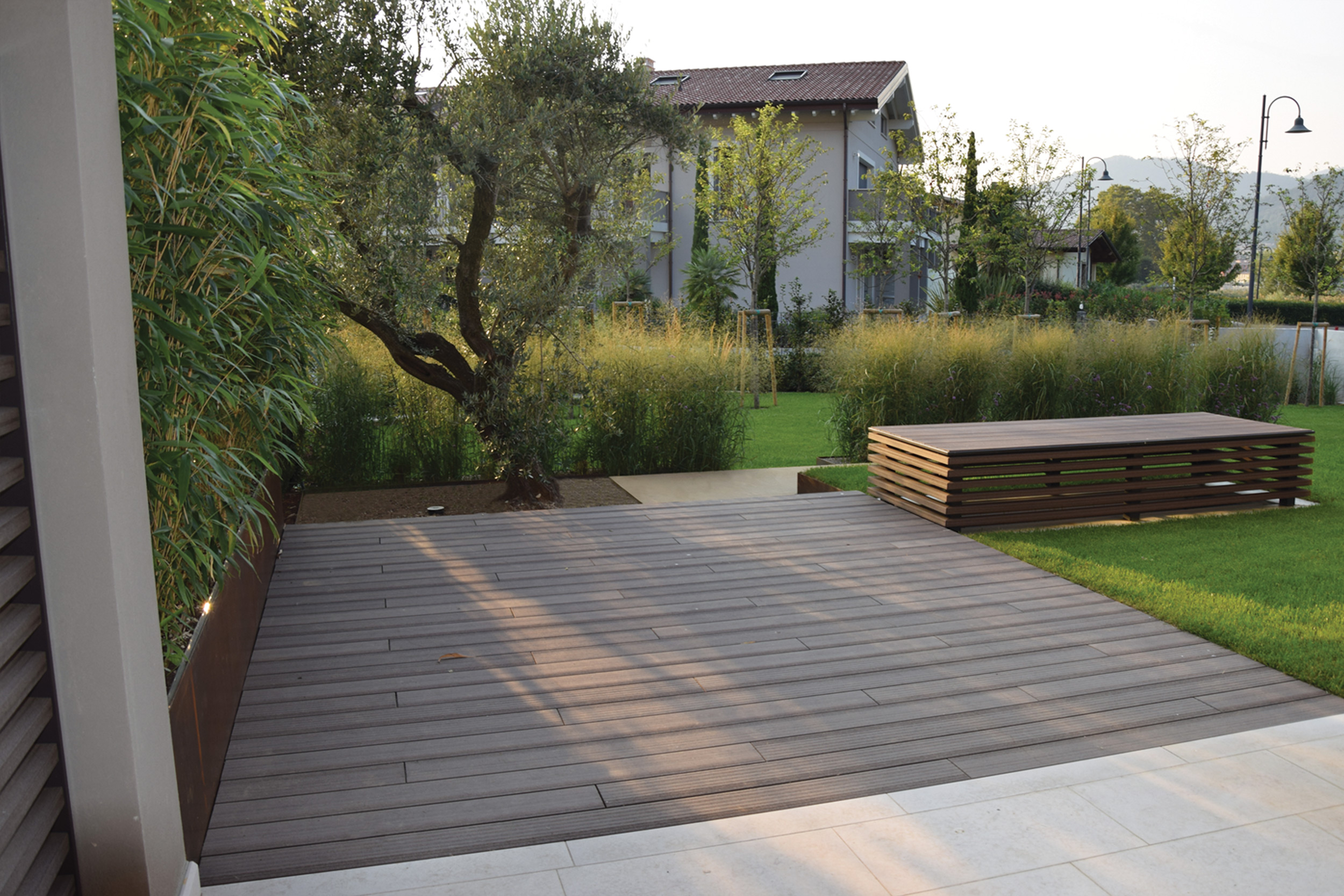 terrazzamento del giardino, lamiere in acciaio corten, piante erbacee perenni, graminacee, Miscanthus sinensis Gracillimus, Olea