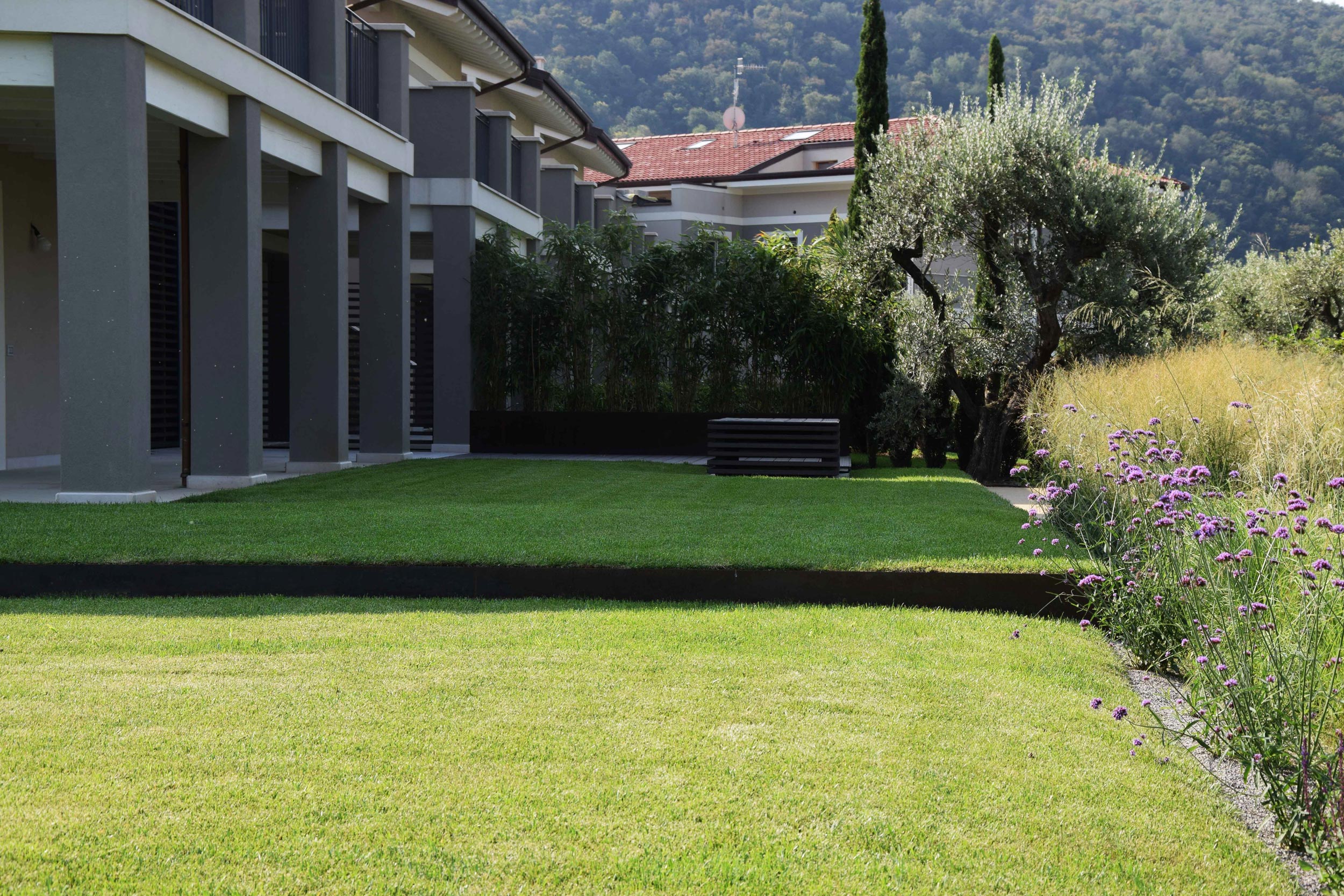 Miscanthus sinensis Gracillimus, terrazzamento del giardino, lamiere in acciaio corten, Verbena bonariensis