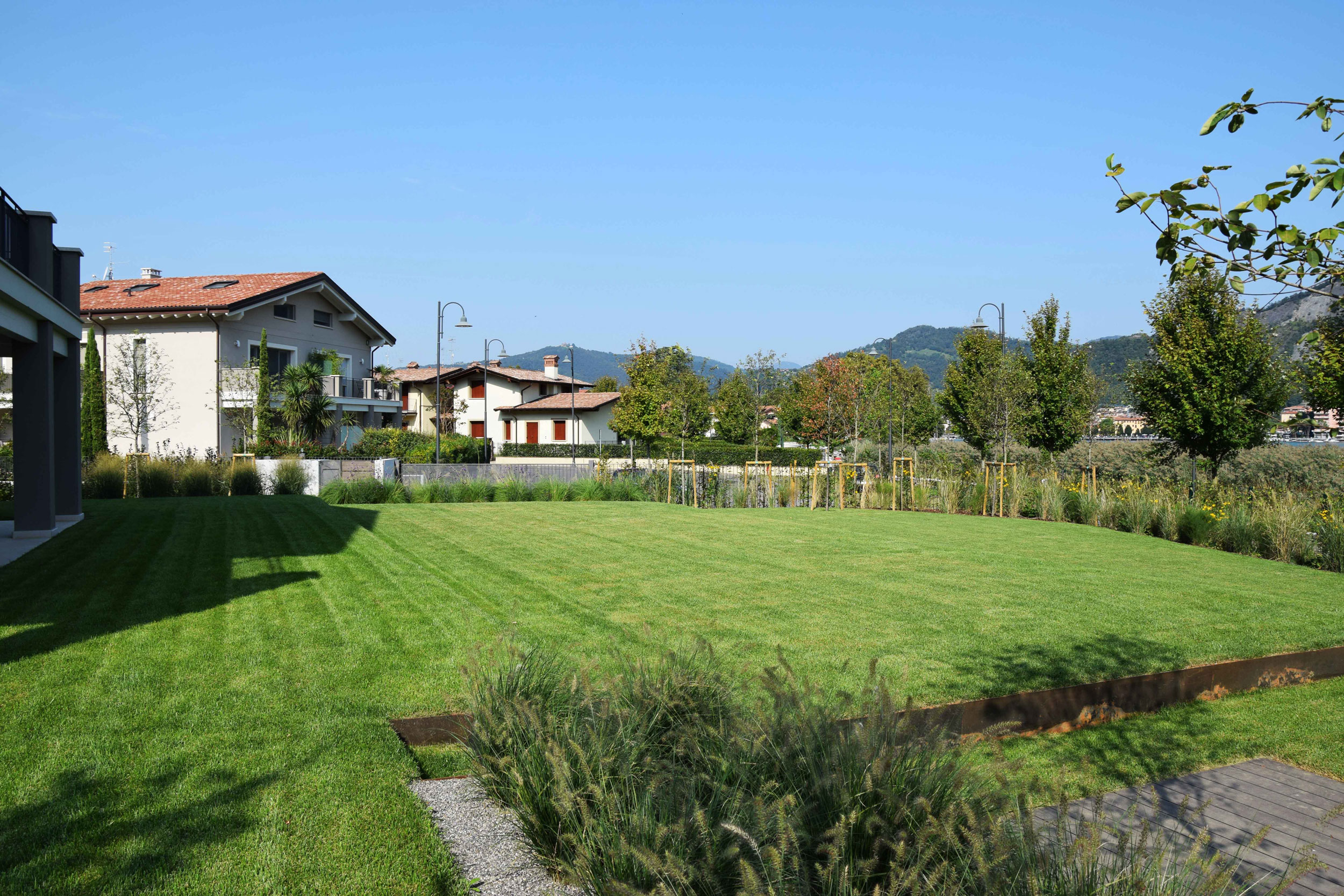 terrazzamento del giardino, lamiere in acciaio corten, piante erbacee perenni, graminacee, Crataegus monogyna 