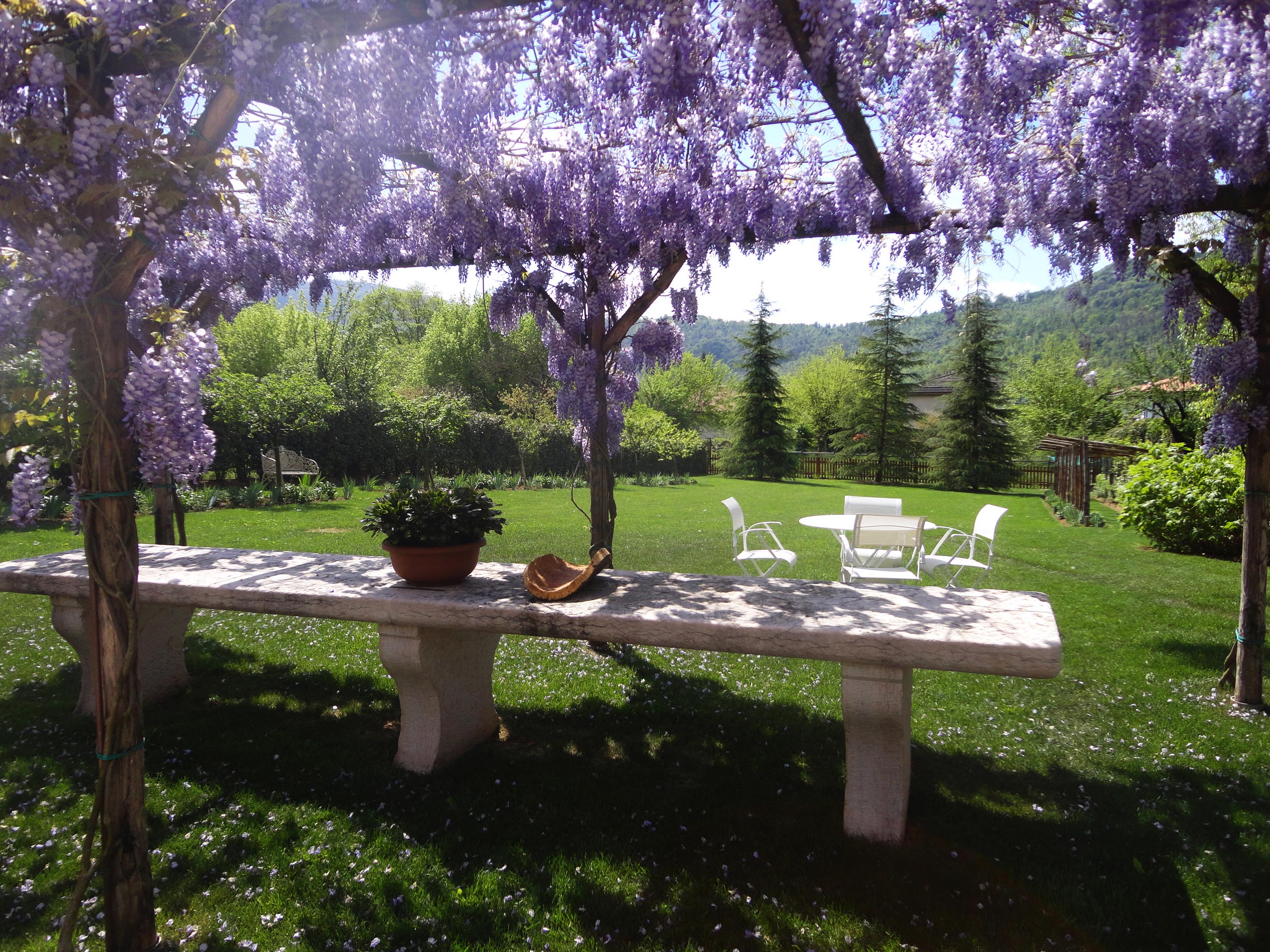 gazebo, wisteria, spazio outdoor, stanze all'aperto