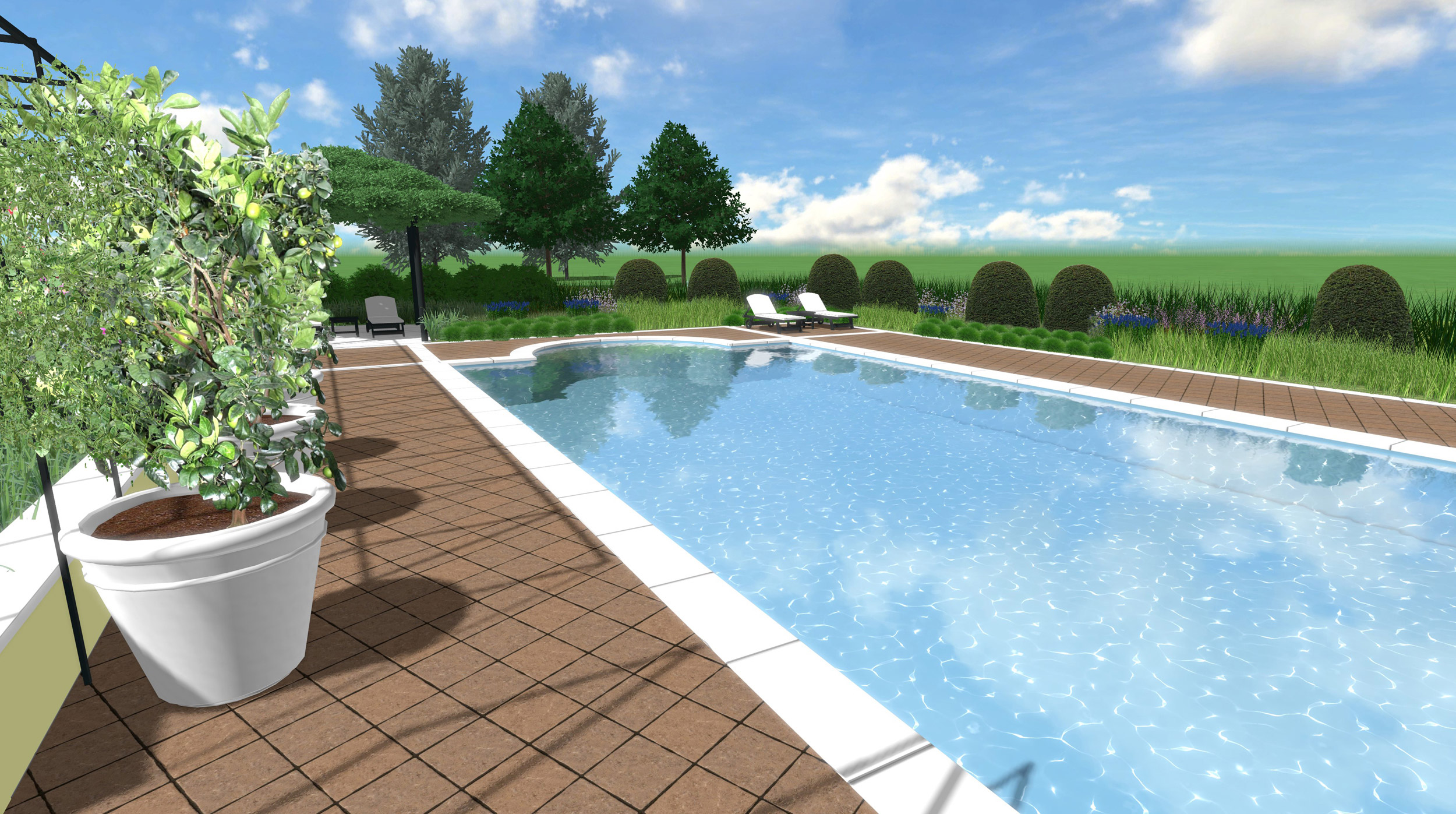 aiuole di graminacee, rendering, area piscina, gazebo, area relax