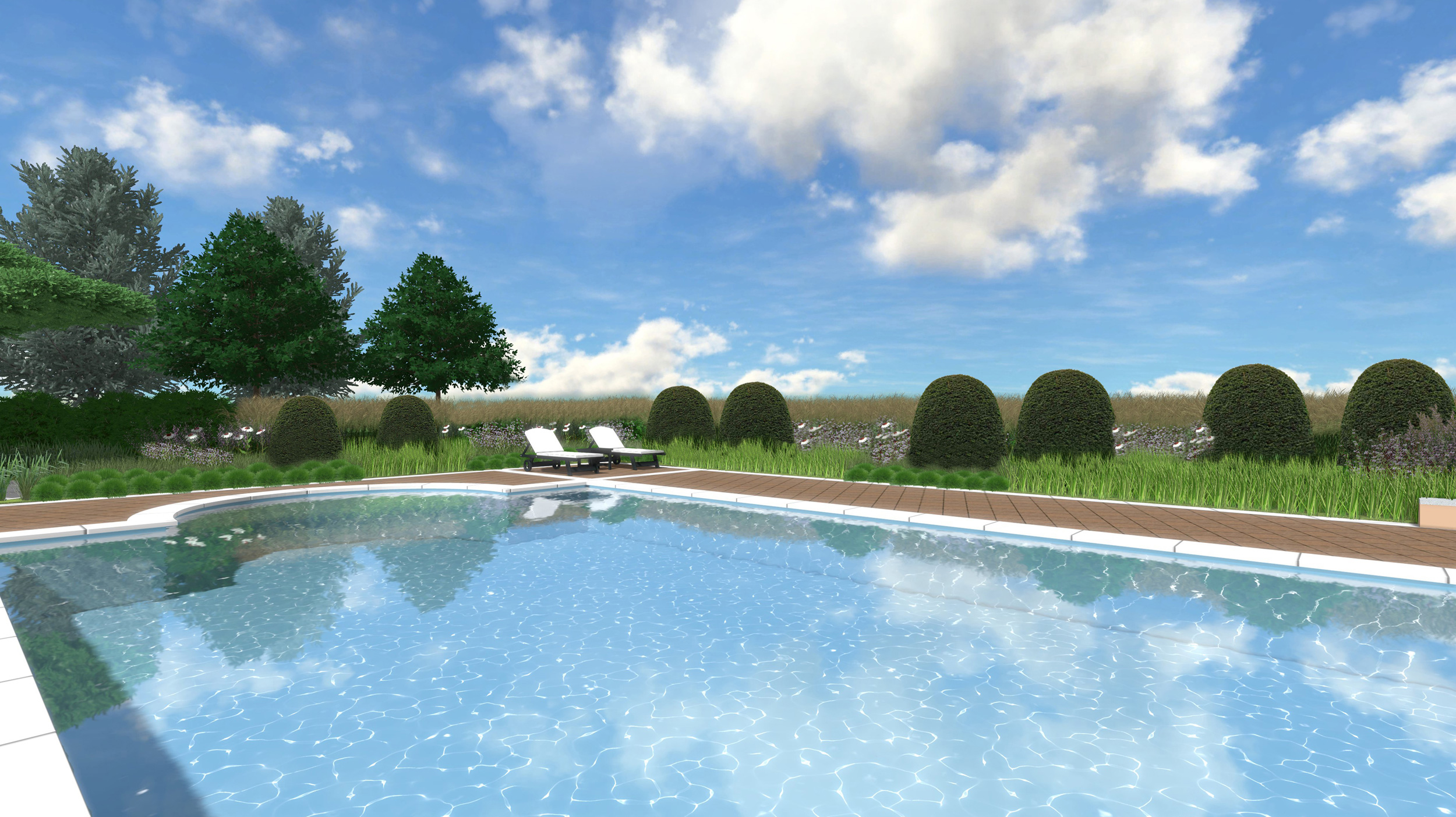 aiuole di graminacee, rendering, area piscina, gazebo, area relax