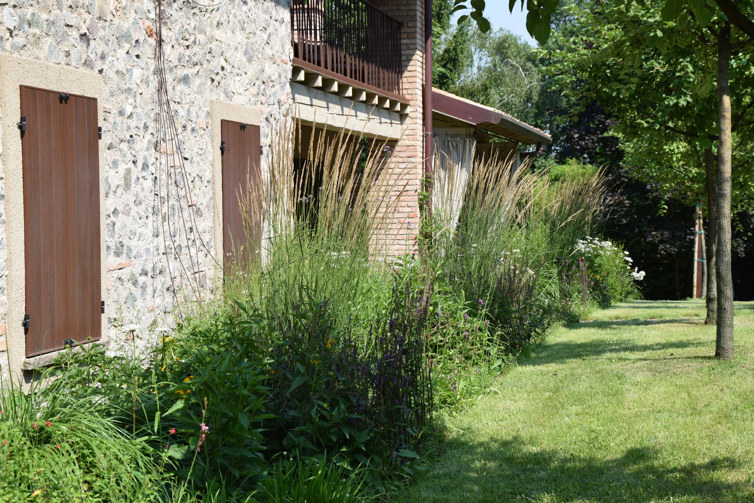 Calamagrostis x acutiflora, Salvia nemorosa, Verbena bonariensis