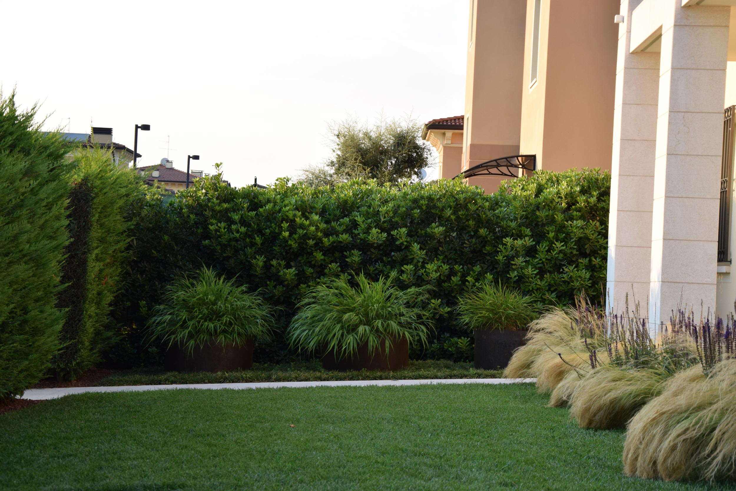 hakonechloa macra, dischi in acciaio corten, stipa tenuissima