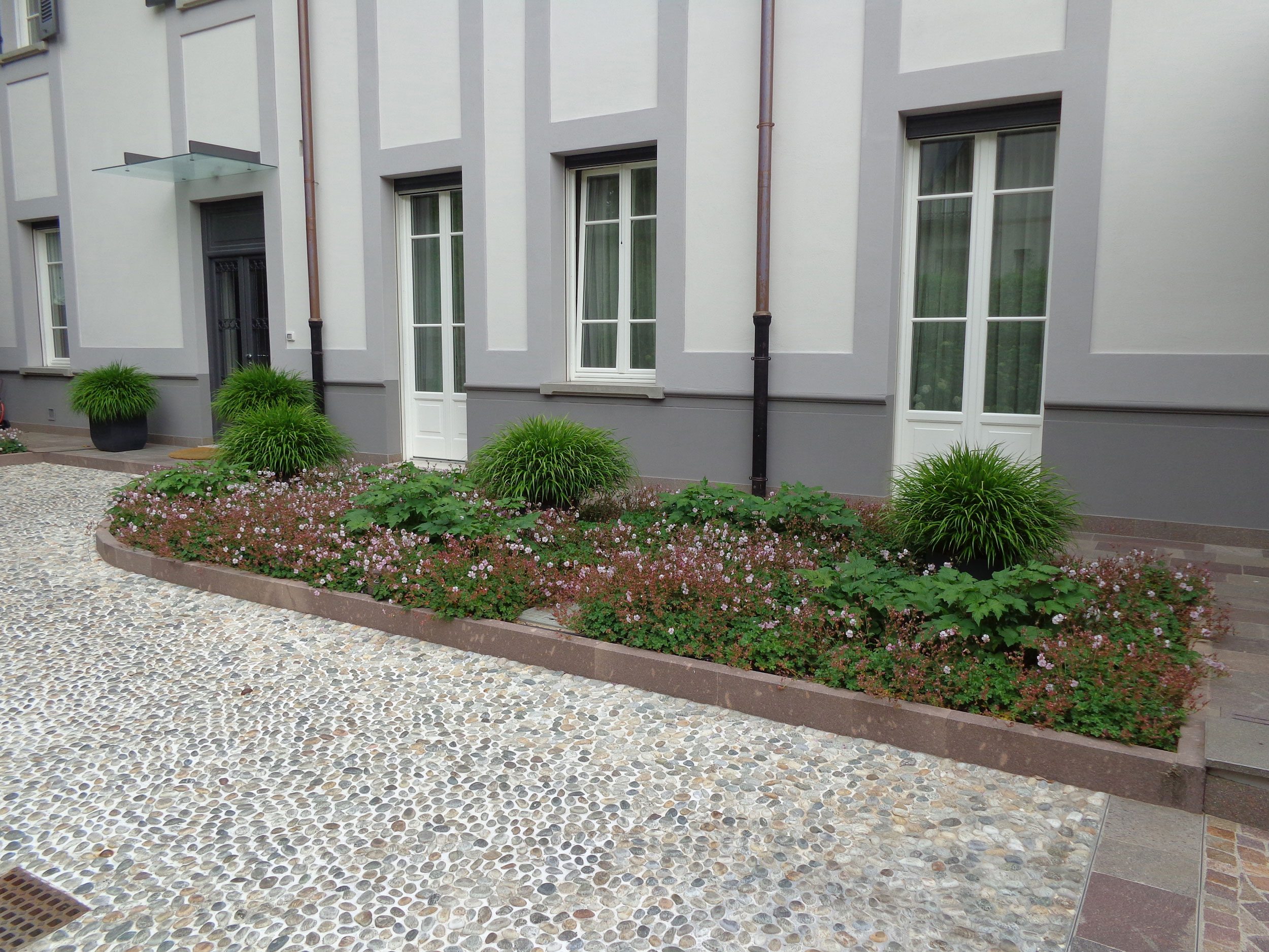 erbacee perenni da fiore, graminacee, hakonechloa macra, geranium x cantabrigiense,  anemone japonica honorine jobert, 
