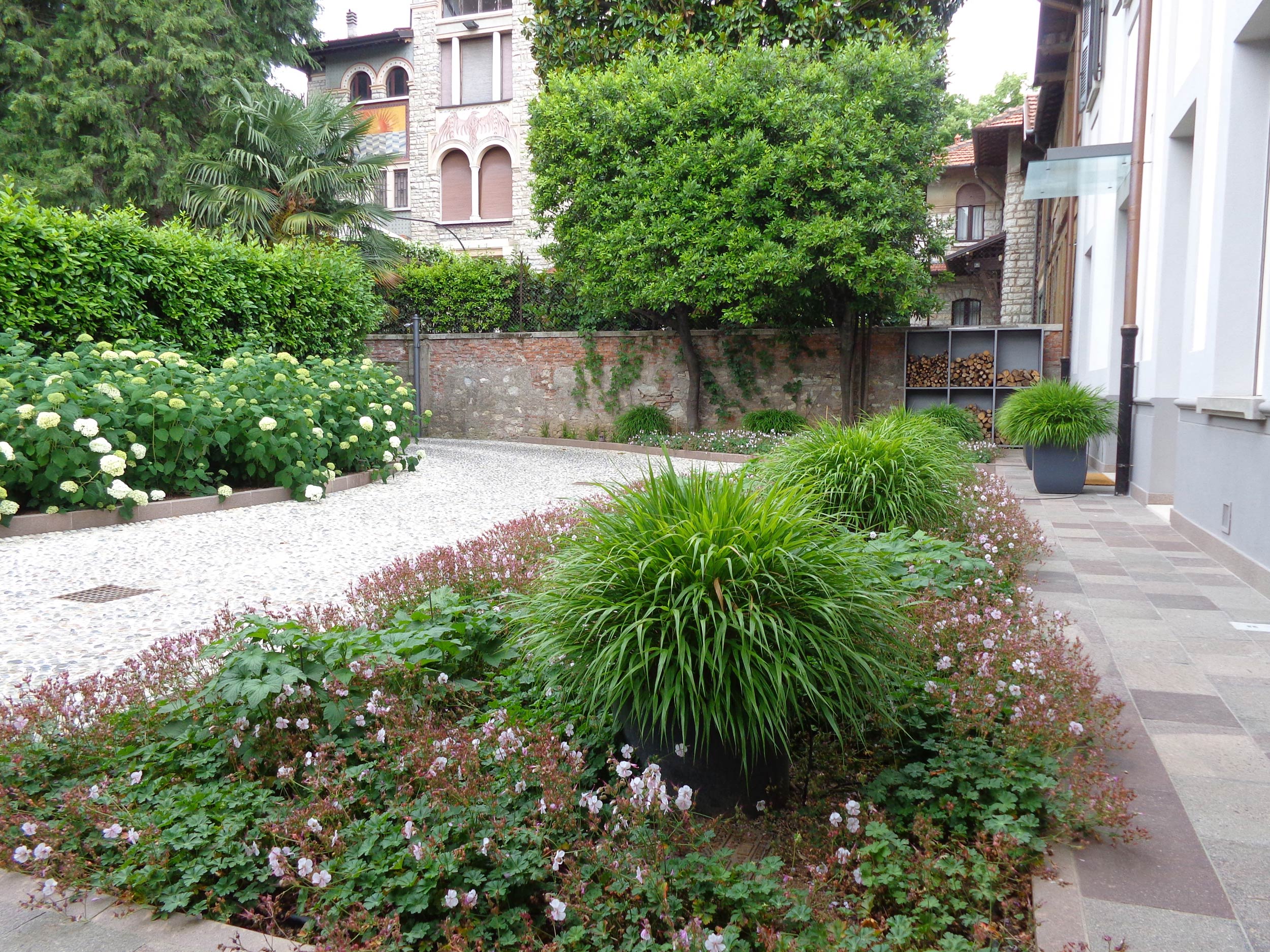 erbacee perenni da fiore, graminacee, hakonechloa macra, geranium x cantabrigiense,  anemone japonica honorine jobert, Hydrangea arborescens Annabelle, 