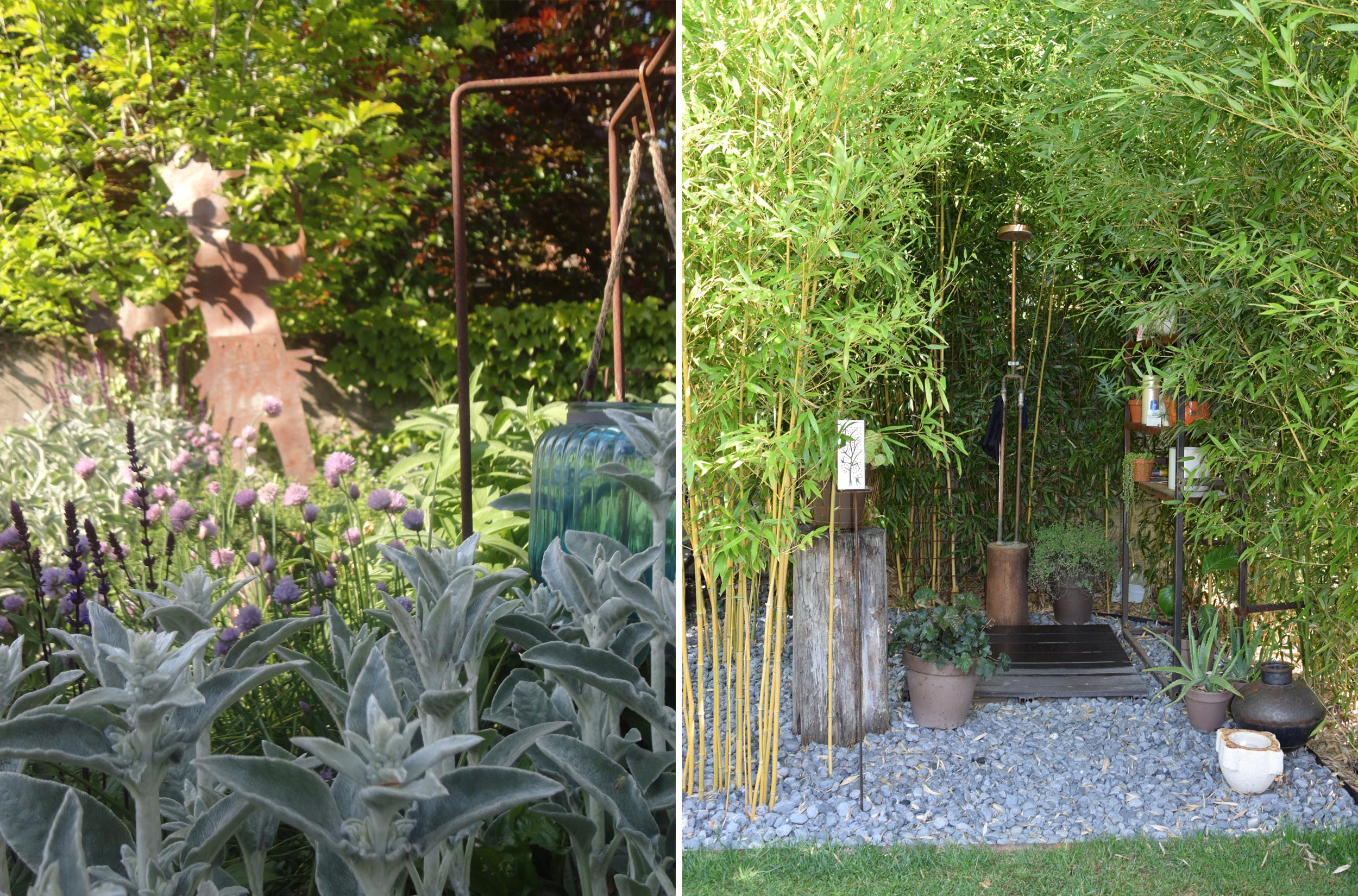 Phyllostachys vivax aureocaulis, doccia, solarium, spazio outdoor, stackis byzantina, metallifilati, 