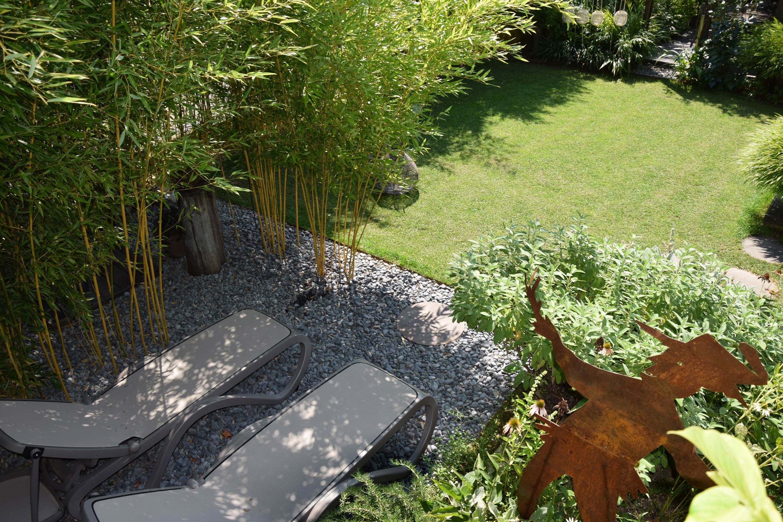 spazio esterno, quinte vegetali, bambù, erbacee perenni, graminacee, Phyllostachys vivax aureocaulis,  