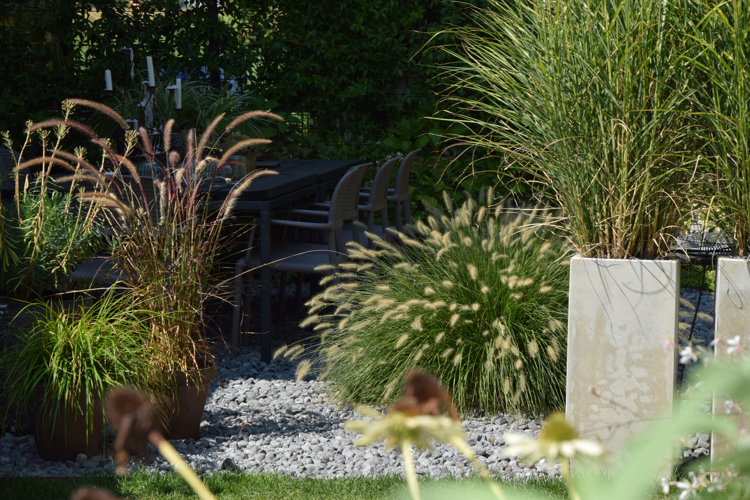 miscanthus sinensis, pennisetum alopecuroides, vasi in cemento, ciottoli grigi