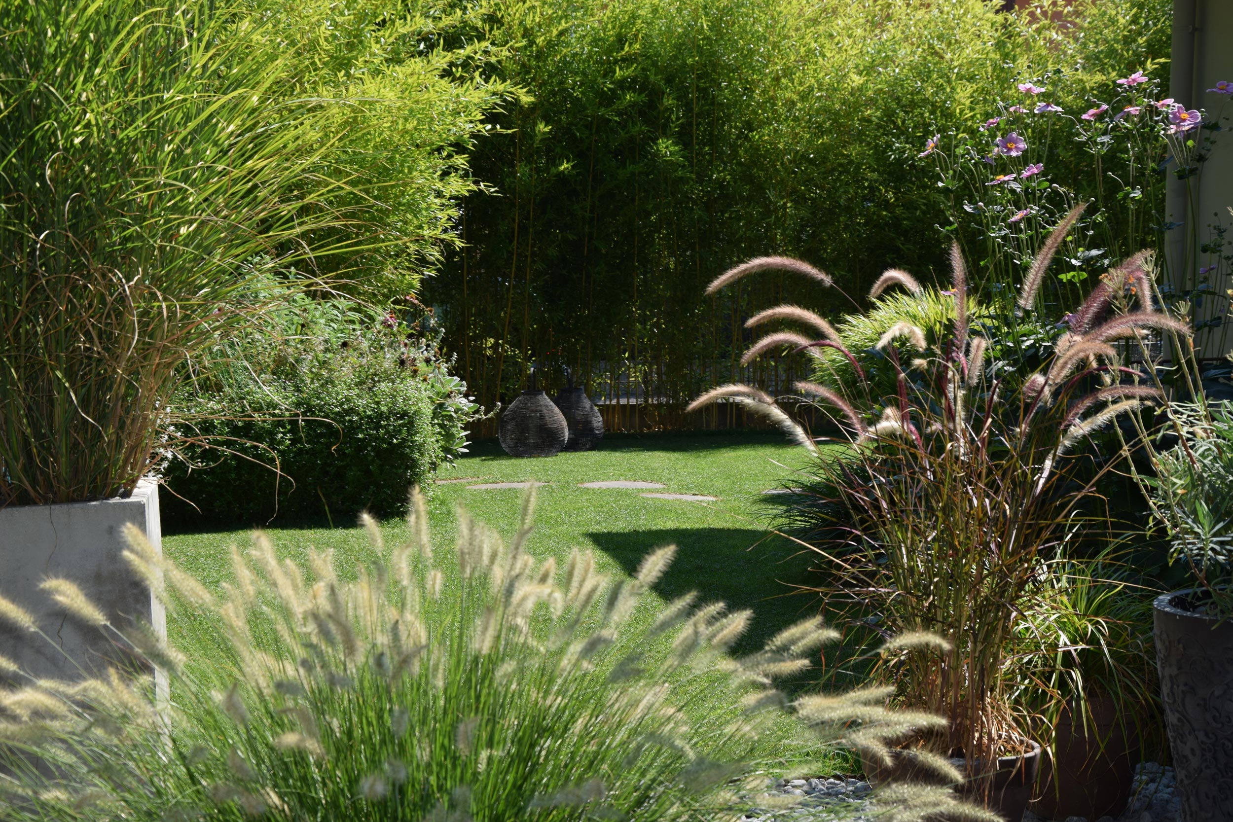 vasi in cemento, pennisetum alopecuroides, Phyllostachys vivaxaureocaulis, 