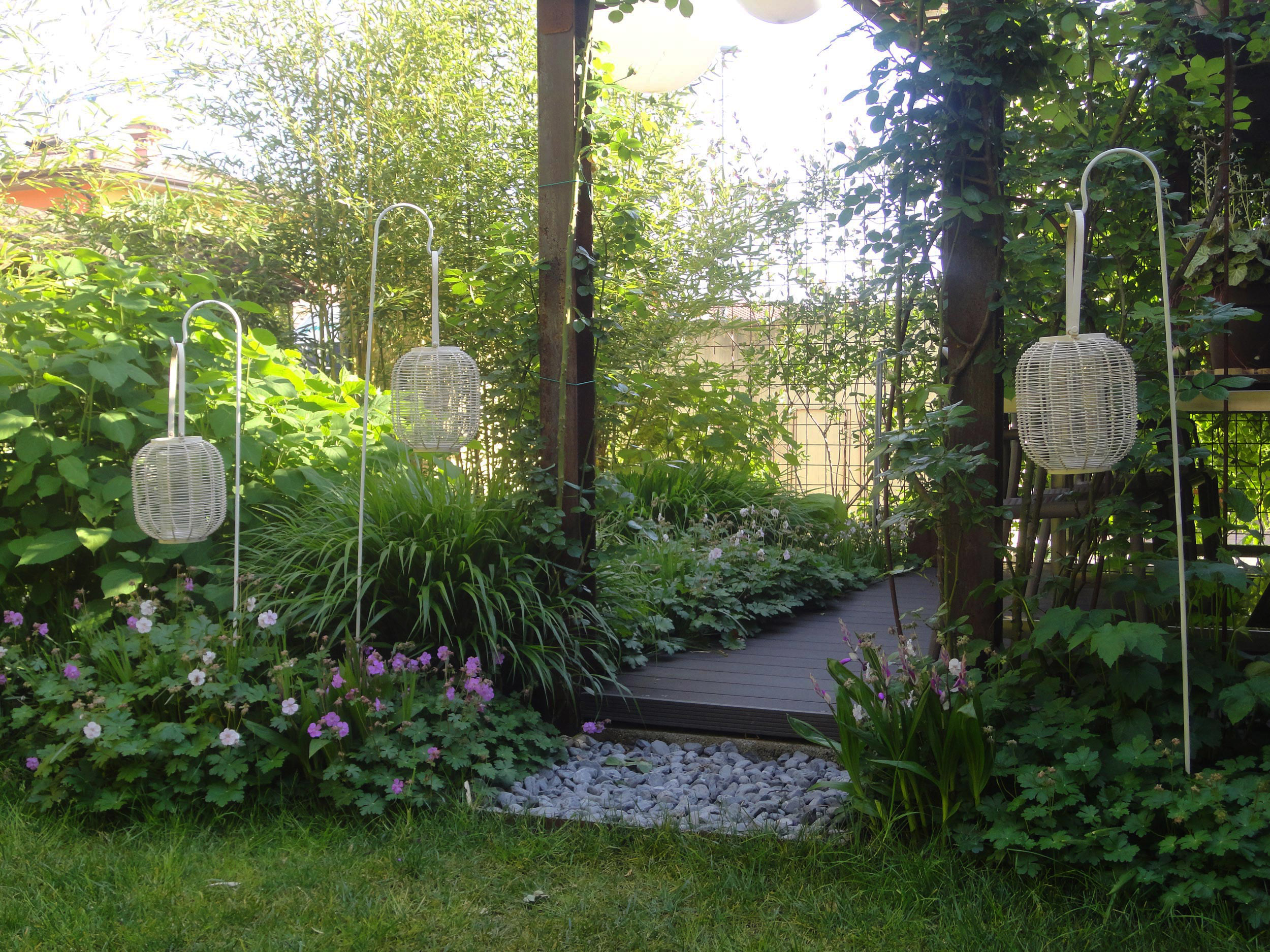 gazebo, spazio outdoor, rete elettrosaldata rivestita con rampicanti, erbacee perenni da fiore, aromatiche, geranium x cantabrigiense, hydrangea arborescens Annabelle  