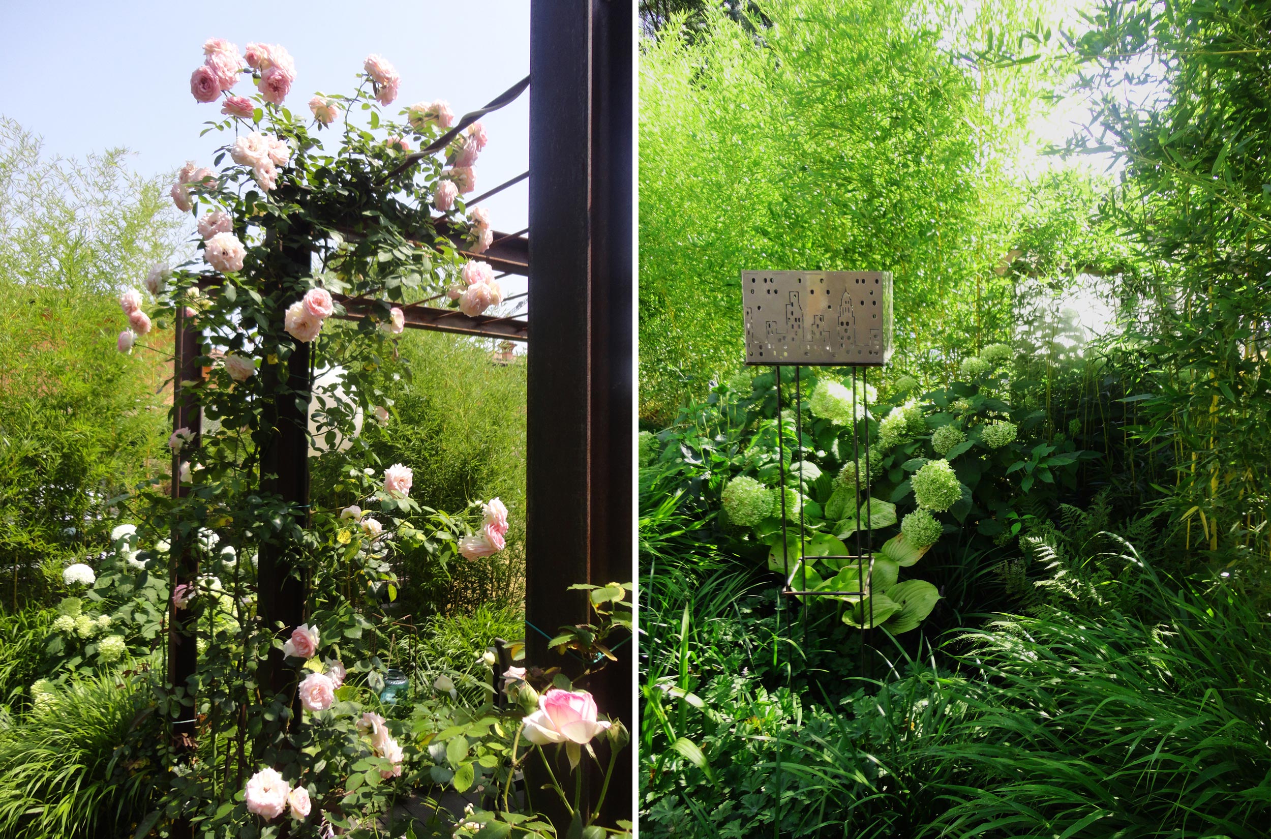 rosa Pierre de Ronsard, gazebo, Hakonechloa macra, Hydrangea arborescens Annabelle, Phyllostachys vivax aureocaulis 