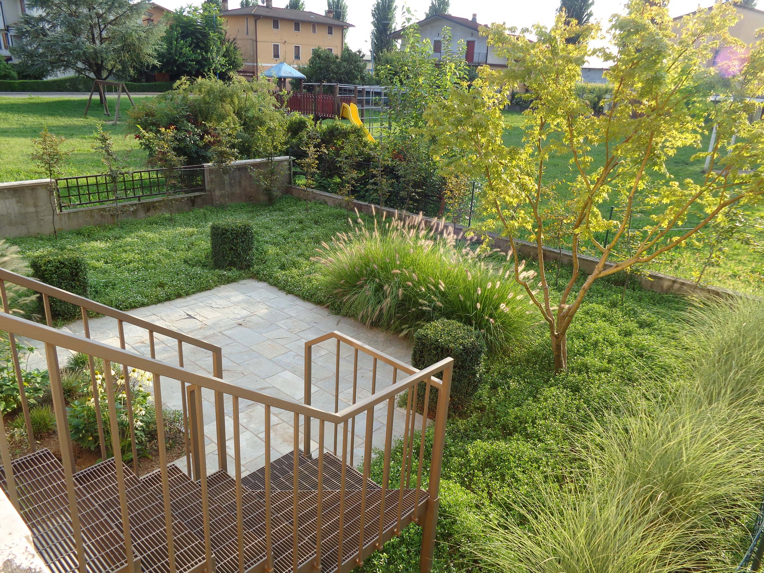 Sesleria cerulea, Calamagrostis x acutiflora, Pennisetum alopecuroides, Buxus sempervirens, Miscanthus sinensis, Acer japonicum, Lippia nodiflora, Echinacea purpurea, Carpinus betulus, Poa pratensis, graminacee