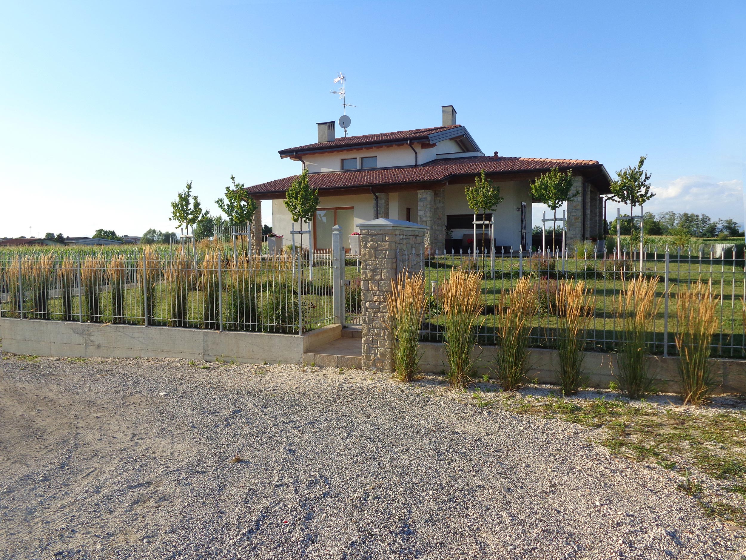 Calamagrostis x acutiflora