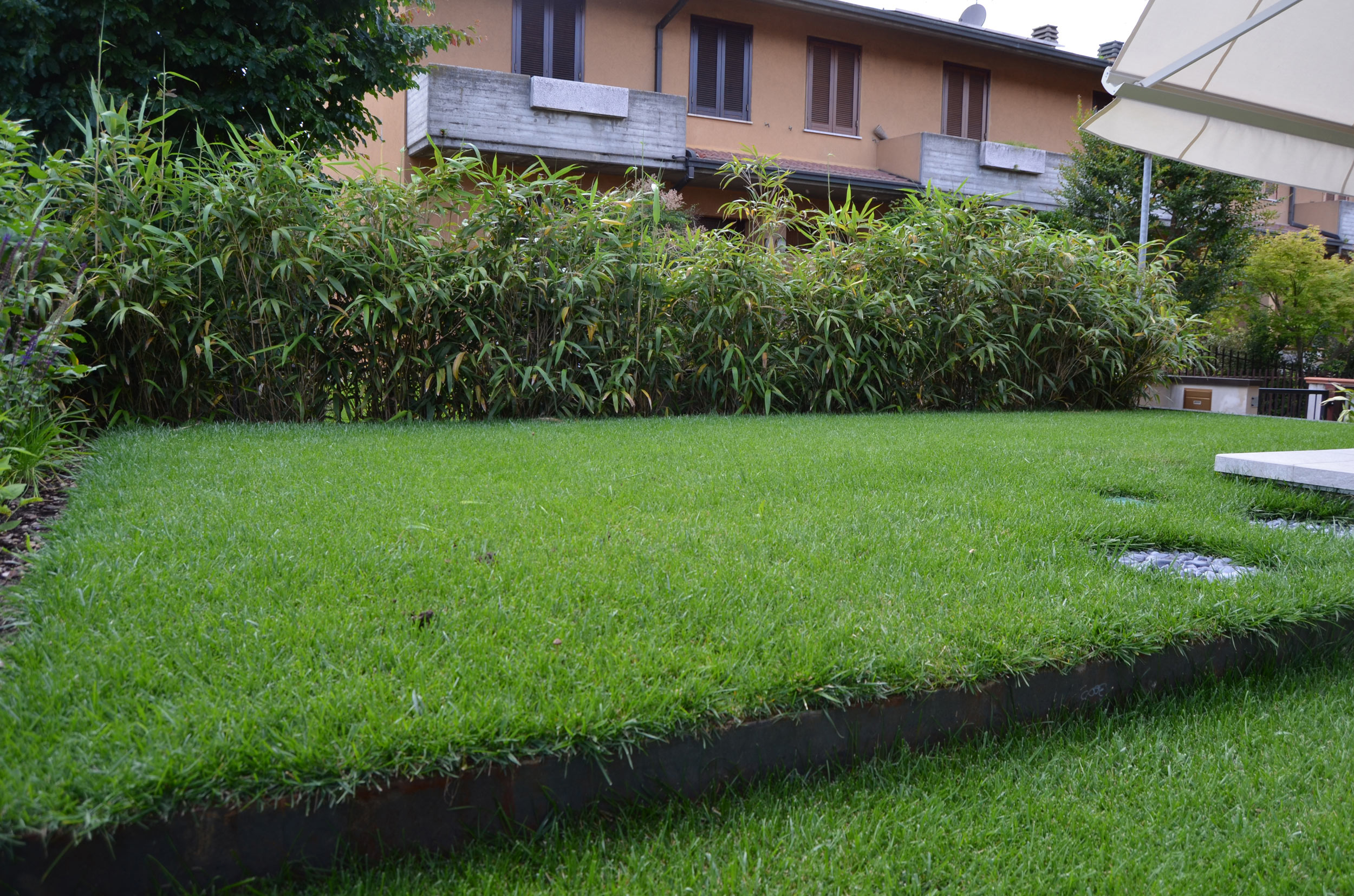 lamiere in acciaio corten, piante erbacee perenni, graminacee, bamboo