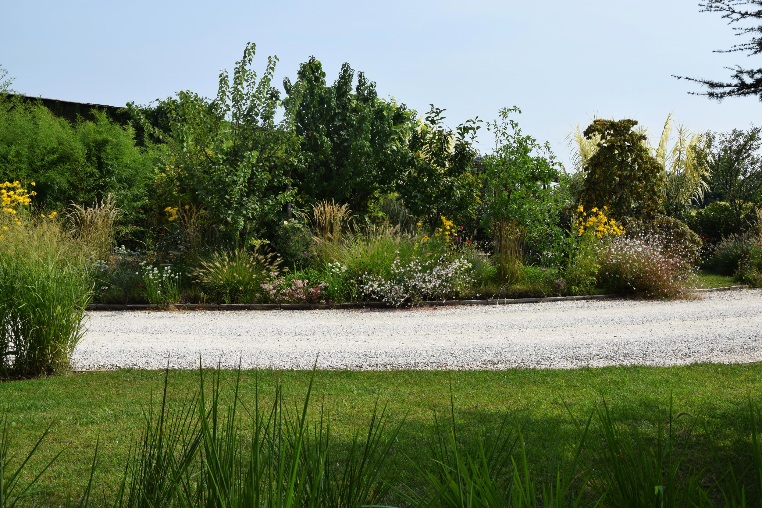 area ex-artigianale, aree in pieno sole senza irrigazione, miscanthus sinensis, calamagrostis x acutiflora, gaura linheimerii