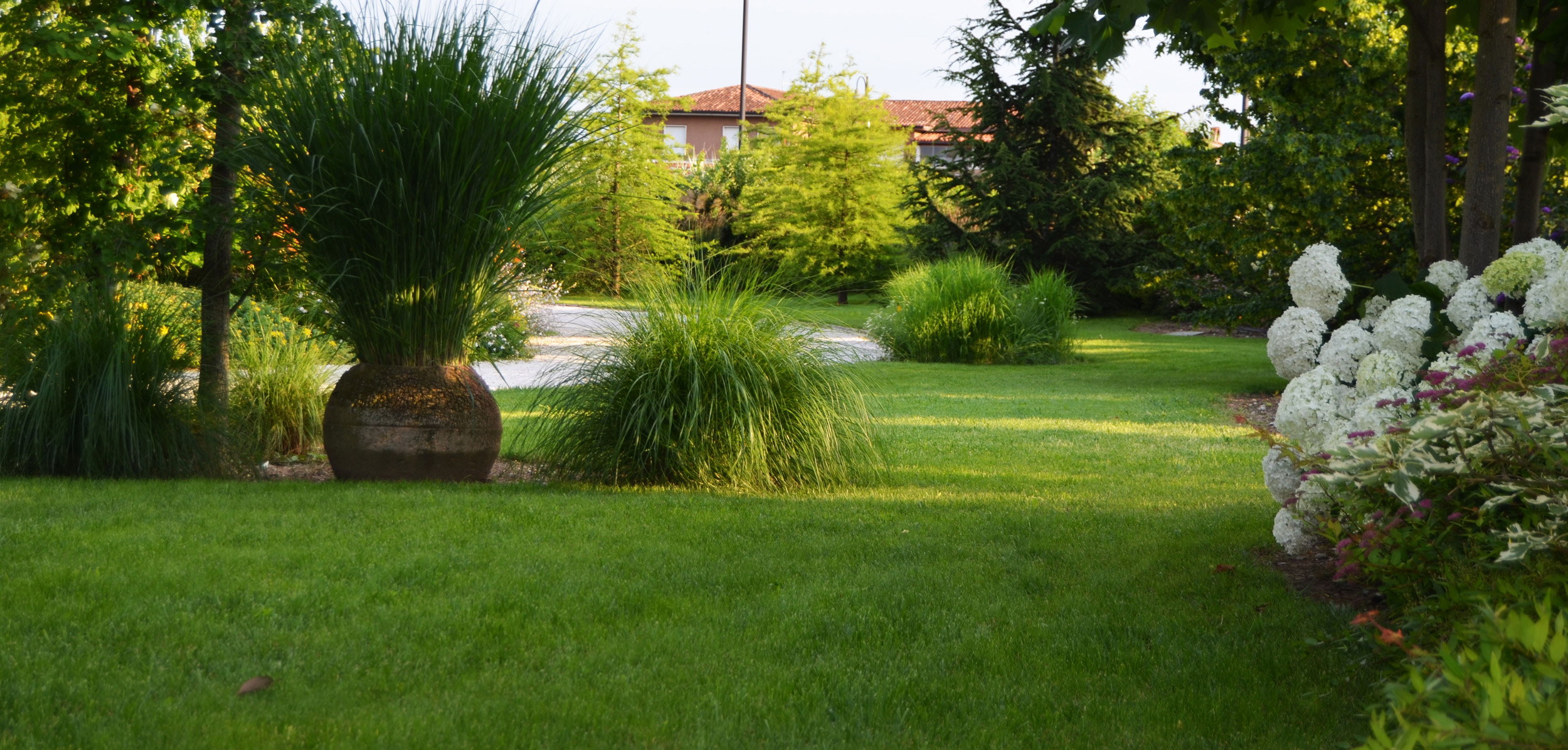 area ex-artigianale, aree in pieno sole senza irrigazione, calamagrostis x acutiflora, miscanthus sinensis, hydrangea arborescens annabelle, 