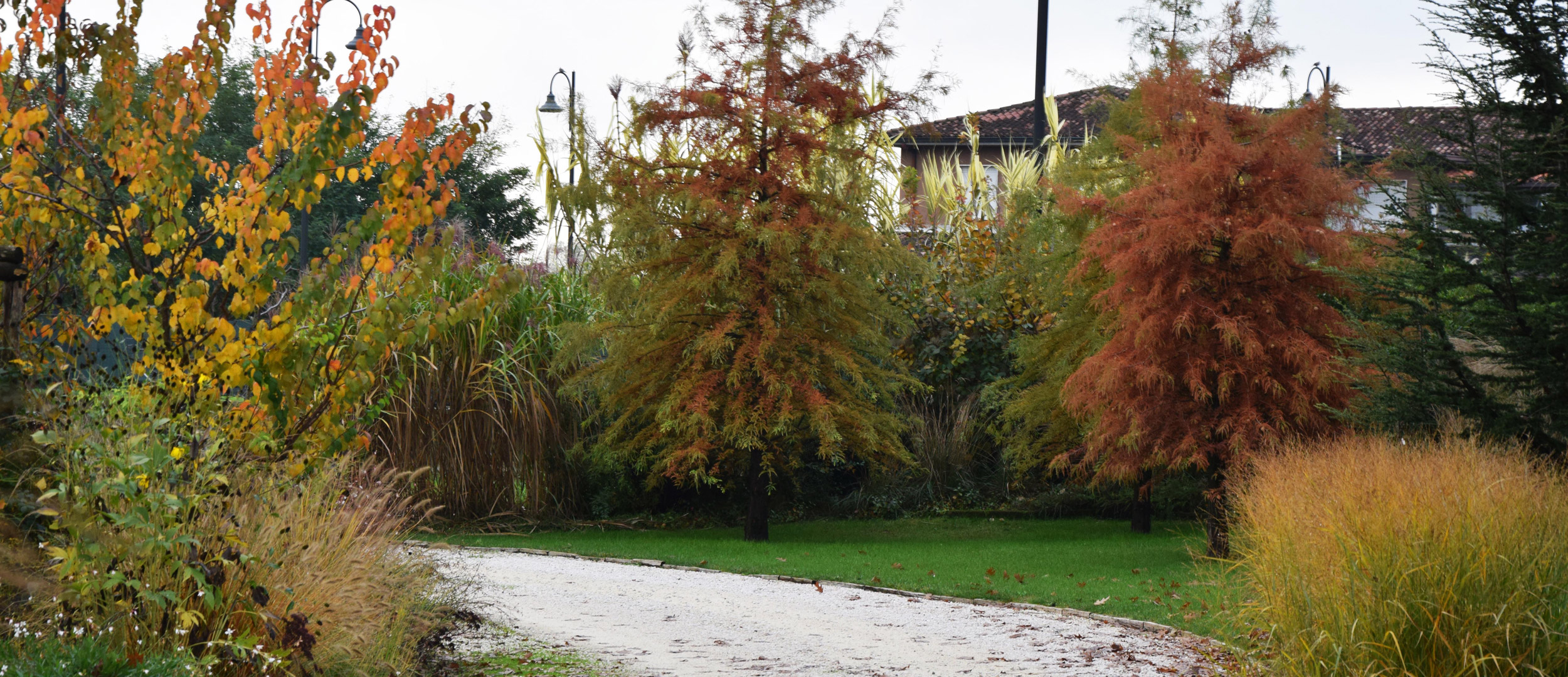 area ex-artigianale, aree in pieno sole senza irrigazione