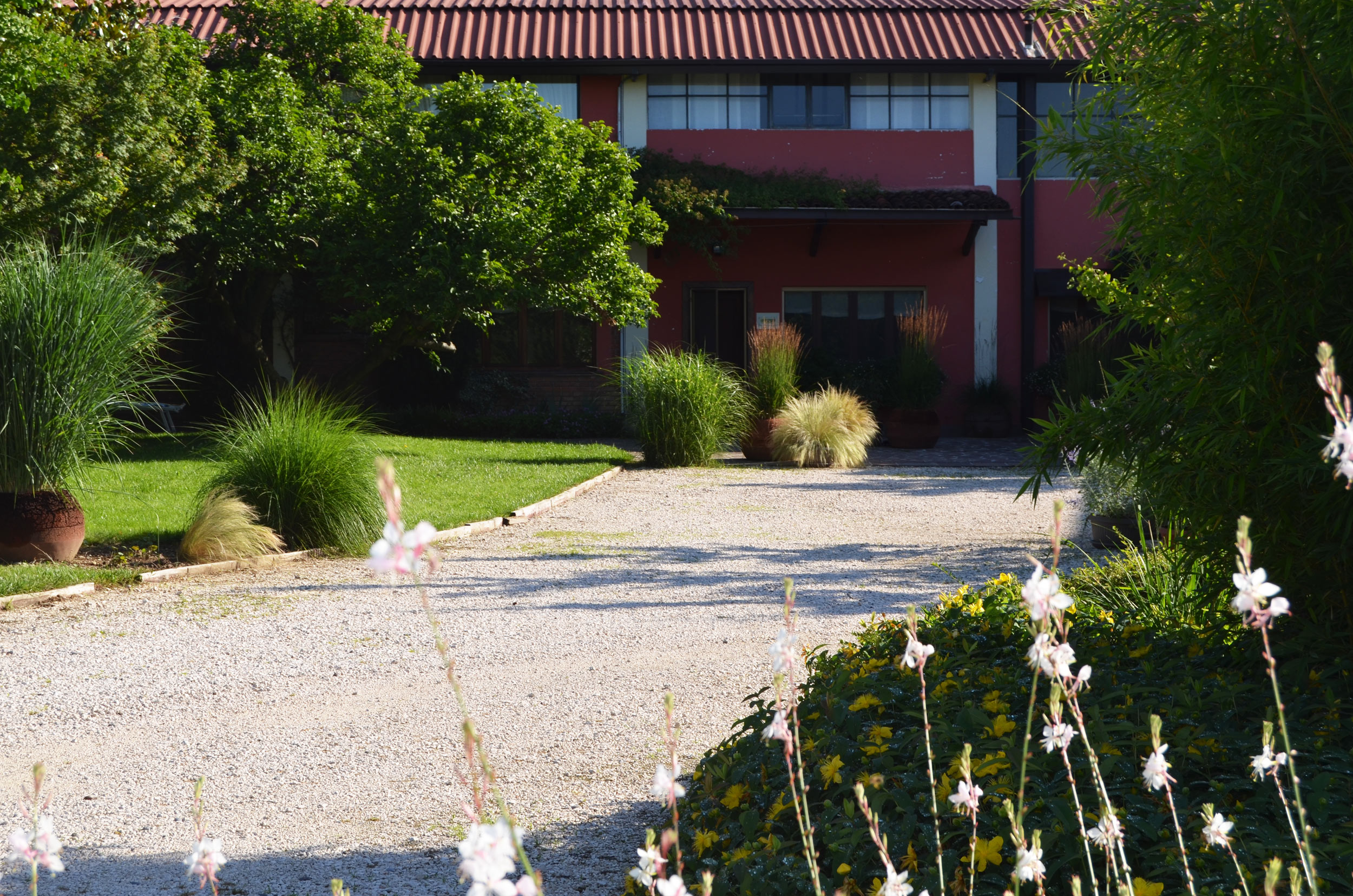 area ex-artigianale, aree in pieno sole senza irrigazione, miscanthus sinensis, calamagrostis x acutiflora