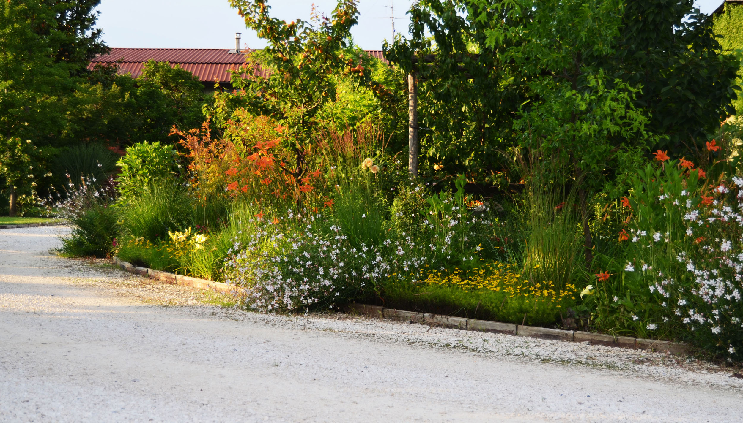 gaura lindheimerii, emerocallis, aree in pieno sole senza irrigazione, calamagrostis x acutiflora