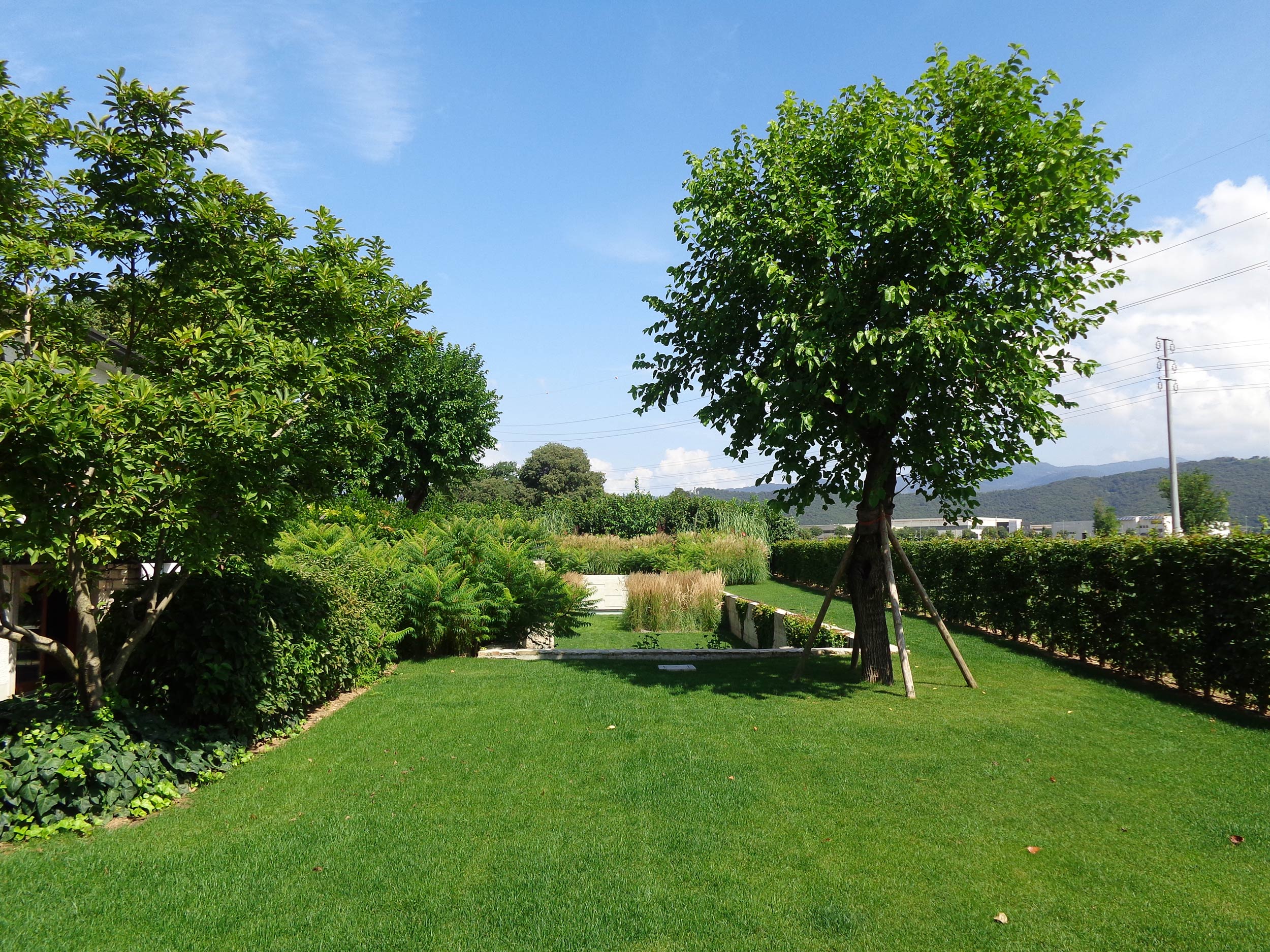 parterre simmetrici di Calamagrostis x acutiflora, Rhus typhina dissecta, 