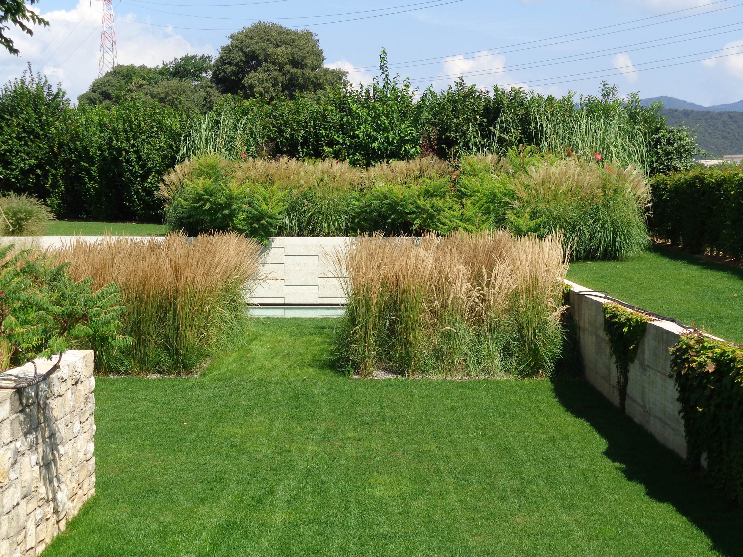 parterre simmetrici di Calamagrostis x acutiflora, Rhus typhina dissecta, Miscanthus sinensis, siepe di Carpinus betulus 