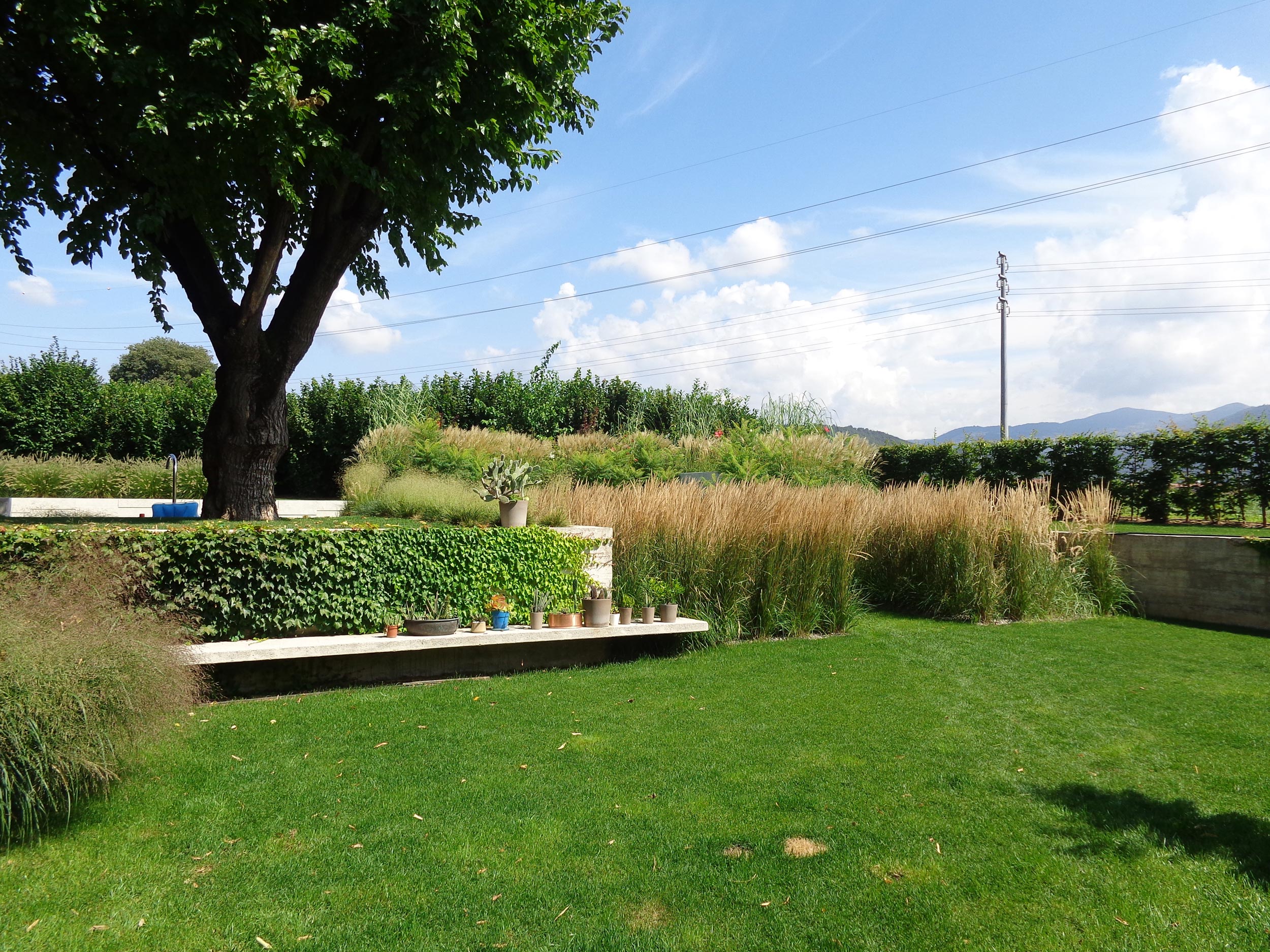 parterre simmetrici di Calamagrostis x acutiflora, Rhus typhina dissecta 