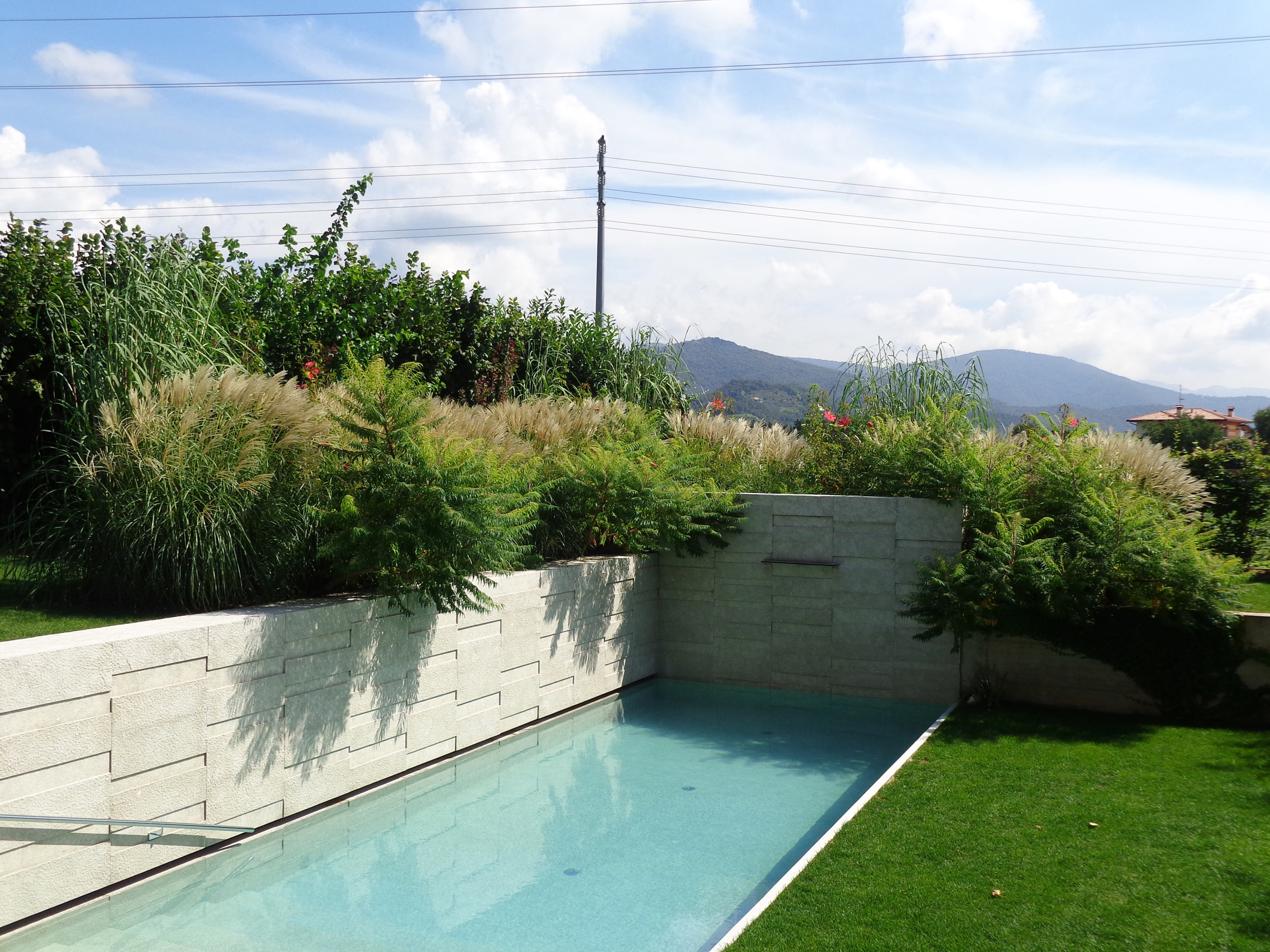 Miscanthus sinensis, Canna ravennae, Hibiscus militaris, Hibiscus coccineus, 