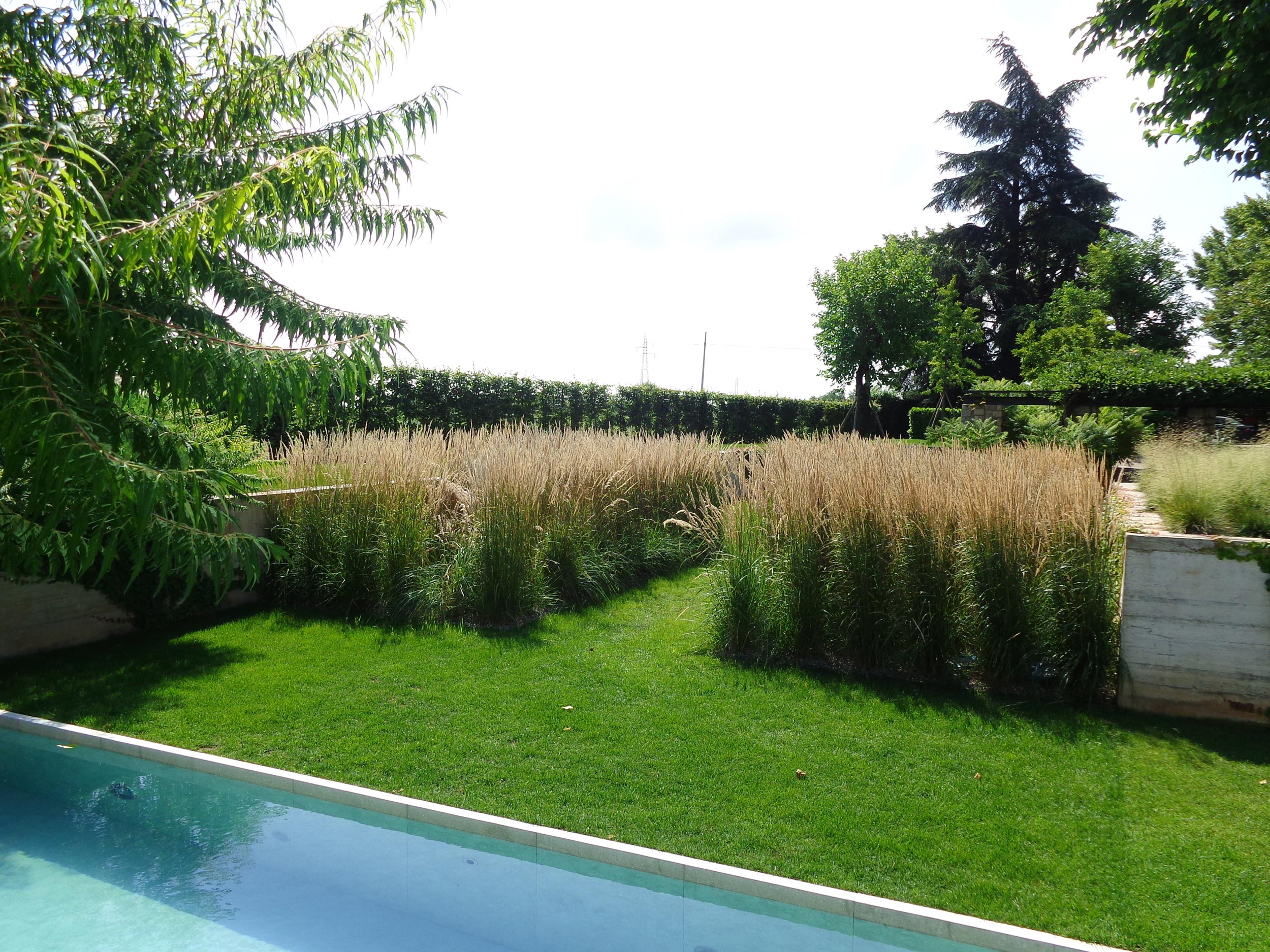 parterre simmetrici di Calamagrostis x acutiflora, Rhus typhina dissecta 