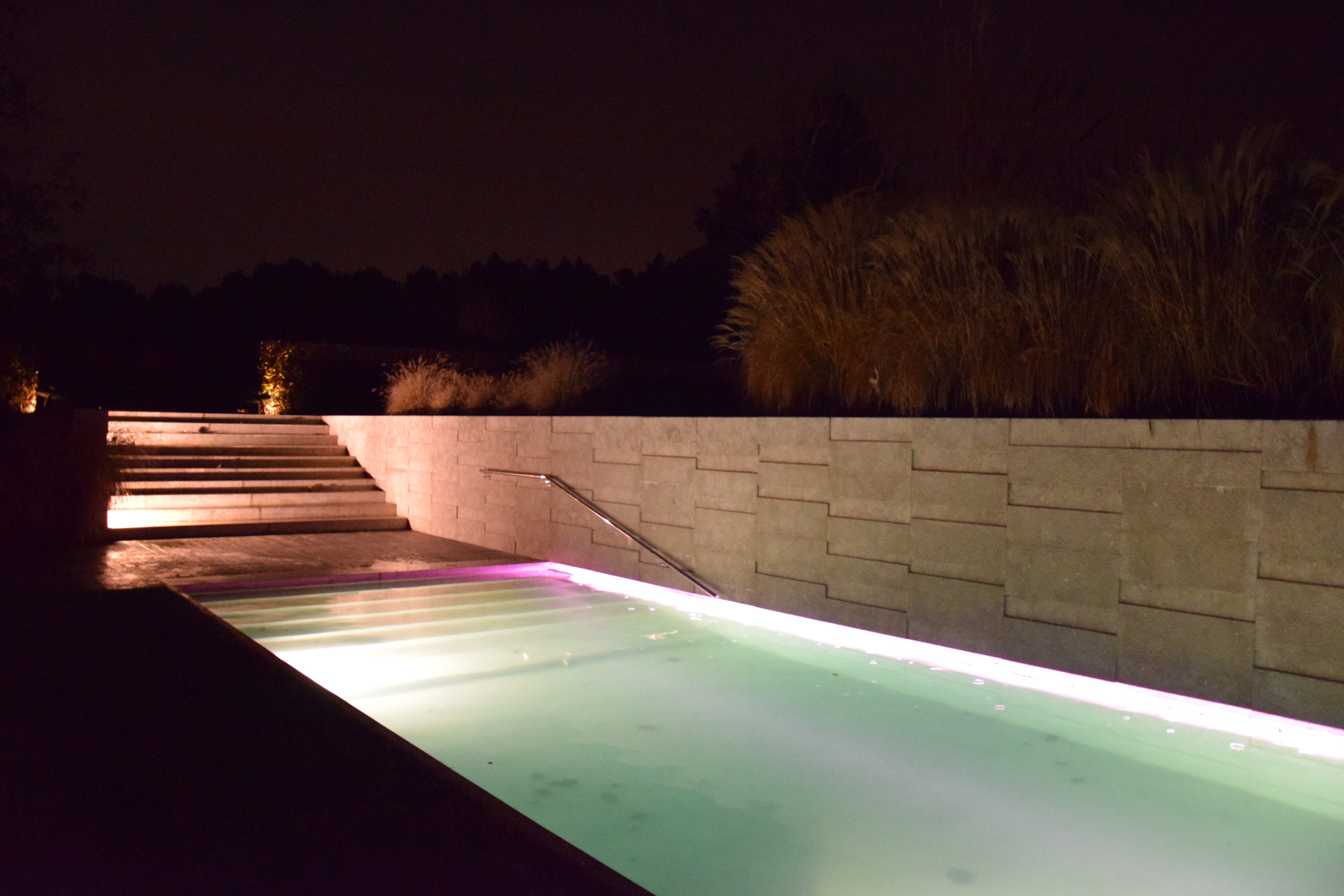 Pennisetum alopecuroides, giardino contemporaneo, graminacee, swimmingpool, lights, by night