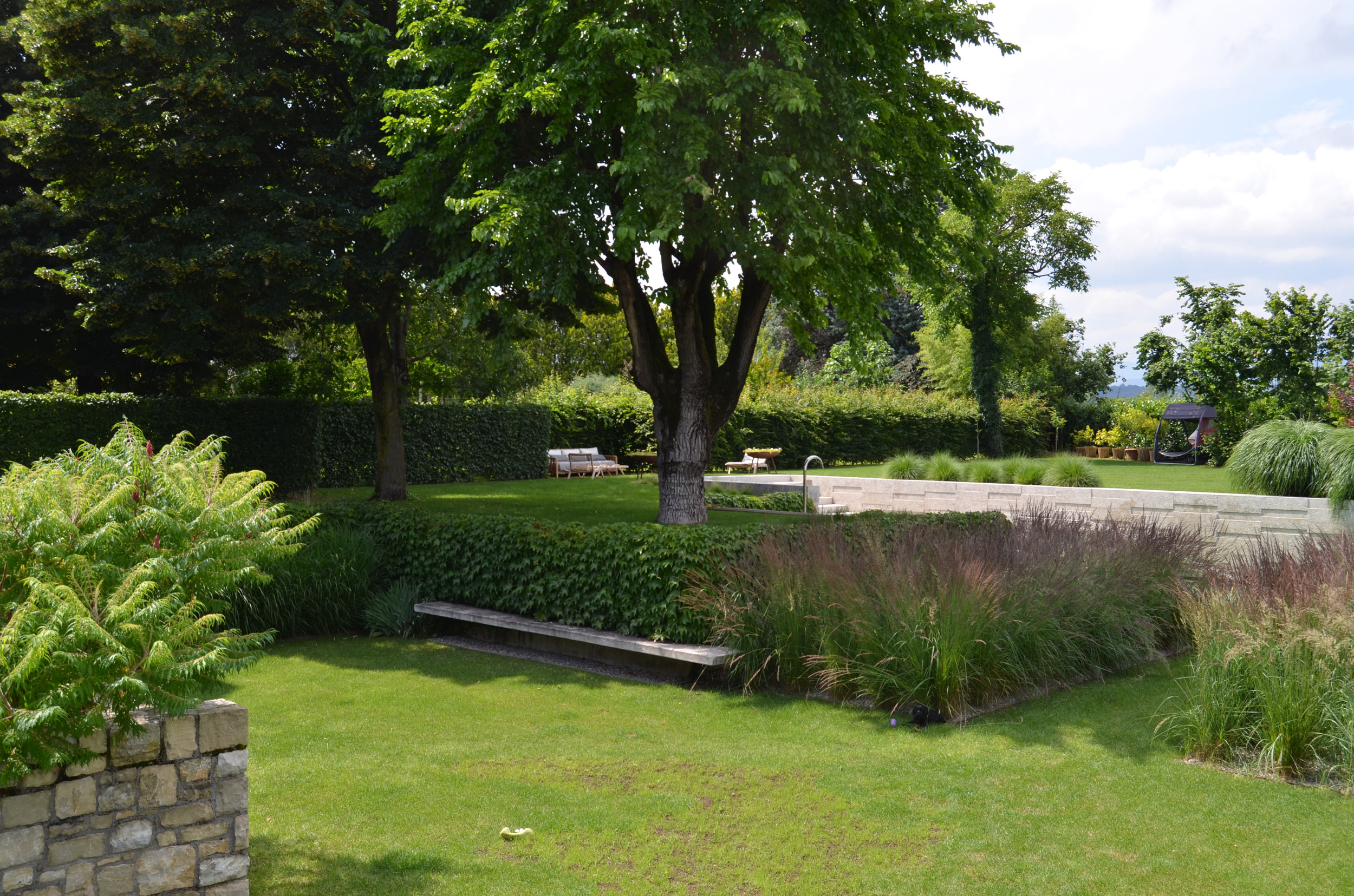 parterre simmetrici di Calamagrostis x acutiflora, Rhus typhina dissecta, Miscanthus sinensis 