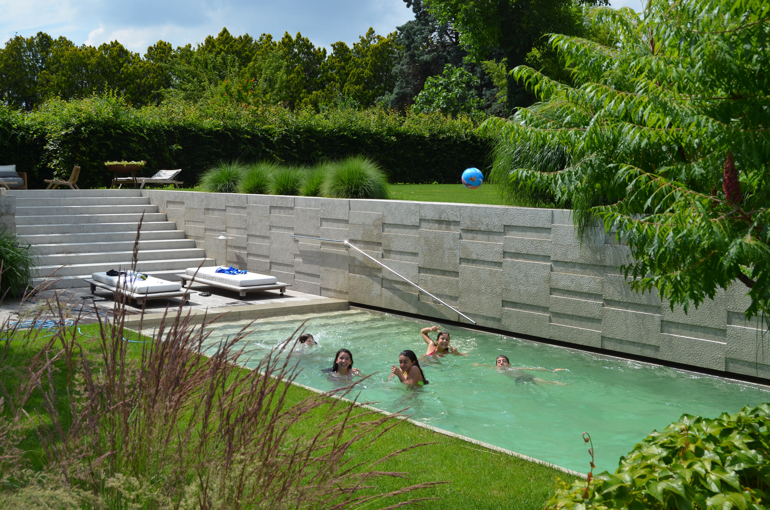 Calamagrostis x acutiflora, Rhus typhina dissecta, Pennisetum alopecuroides, Swimming pool, siepe di Carpinus betulus 