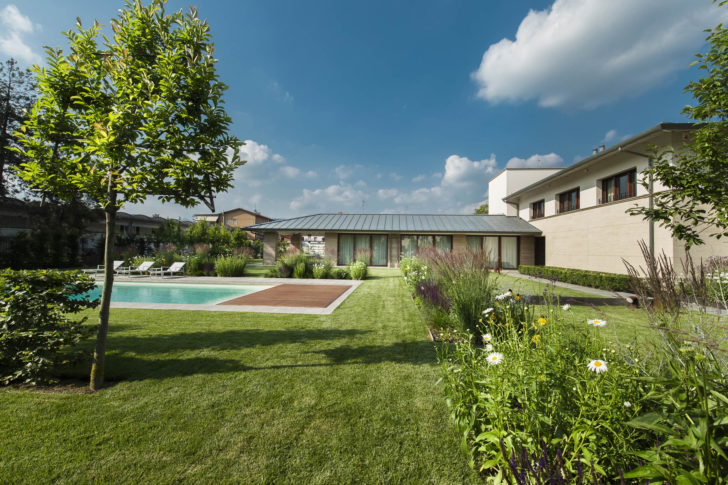 Salvia nemorosa, Calamagrostis x acutiflora, Verbena bonariensis, Echinacea purpurea, Veronica, area piscina, outdoor, swimming pool, Carpinus betulus