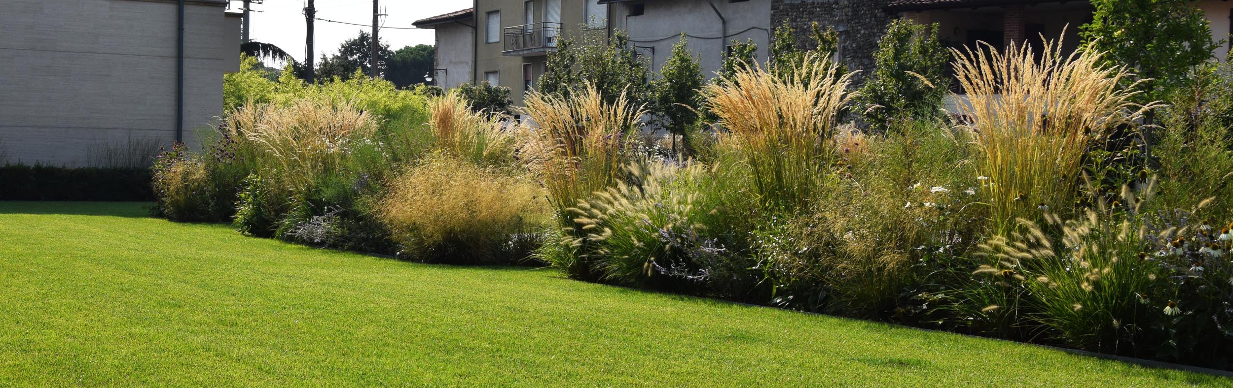 aiuole con erbacee perenni e graminacee, Calamagrostis x acutiflora, Pennisetum, Echinacea purpurea