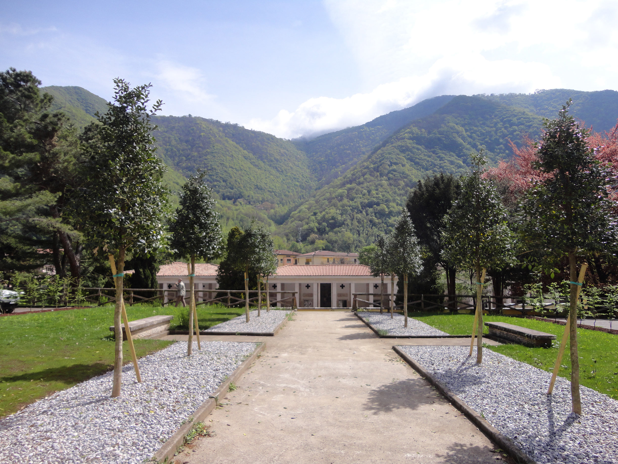 aiuole cimitero Gardone Valtrompia, Quercus ilex