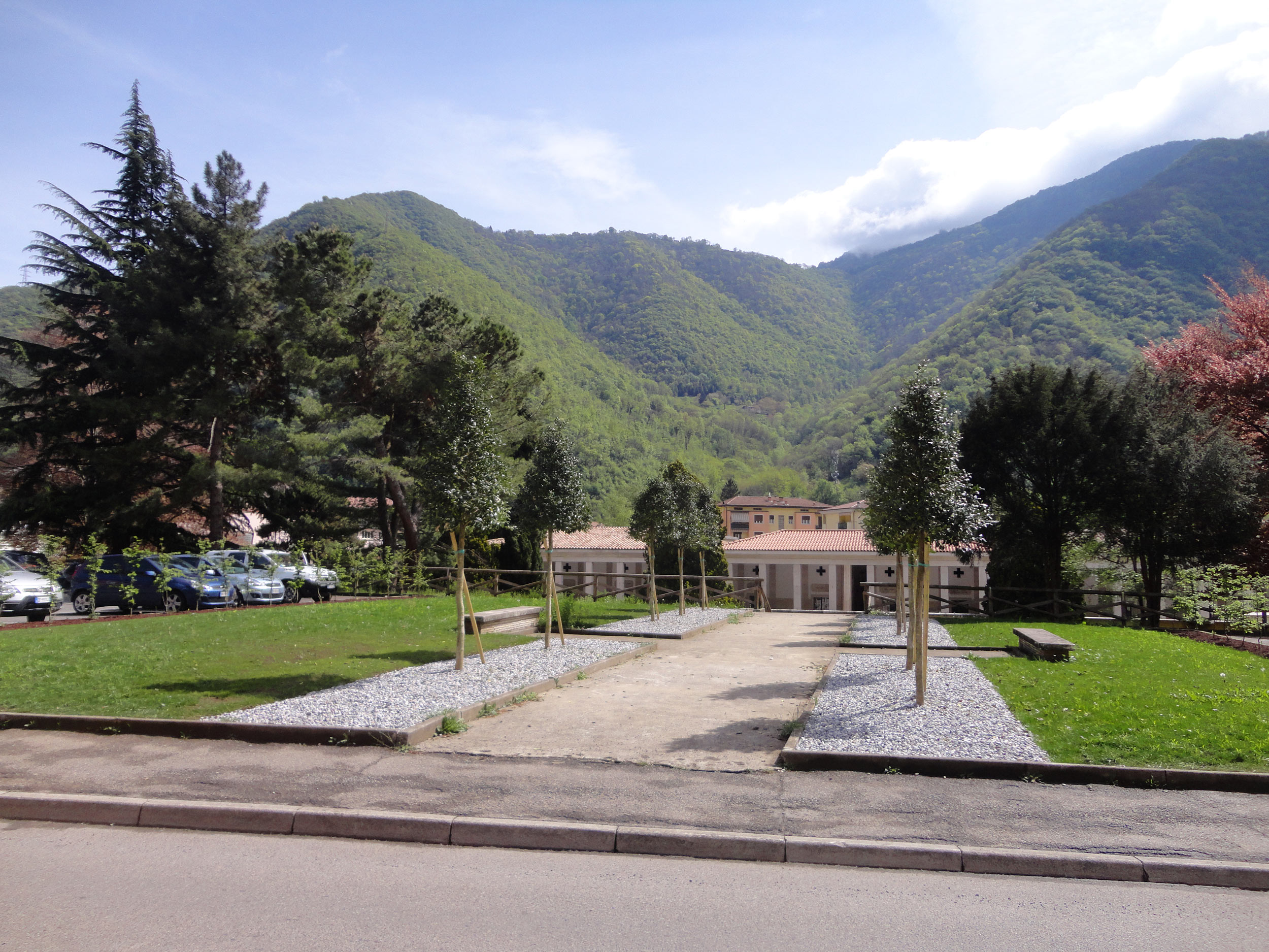 aiuole cimitero Gardone Valtrompia, Quercus ilex